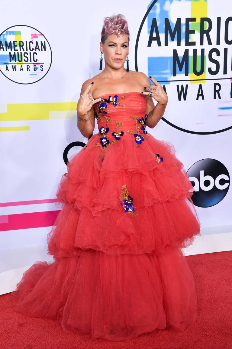 Pink at 2017 American Music Awards at the Microsoft Theater in Los Angeles 11/19/2017-1