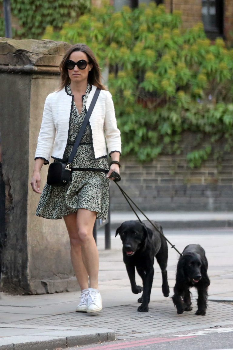 Pippa Middleton Walks Her Dog Out in London 05/12/2018-1