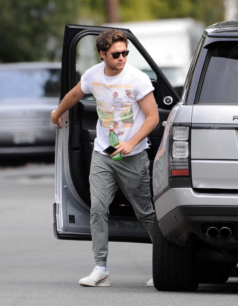 Niall Horan in a White T-Shirt