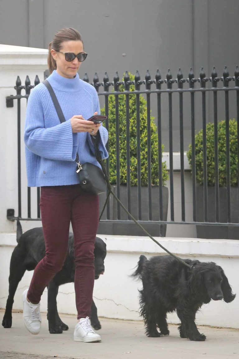 Pippa Middleton in a Blue Sweater
