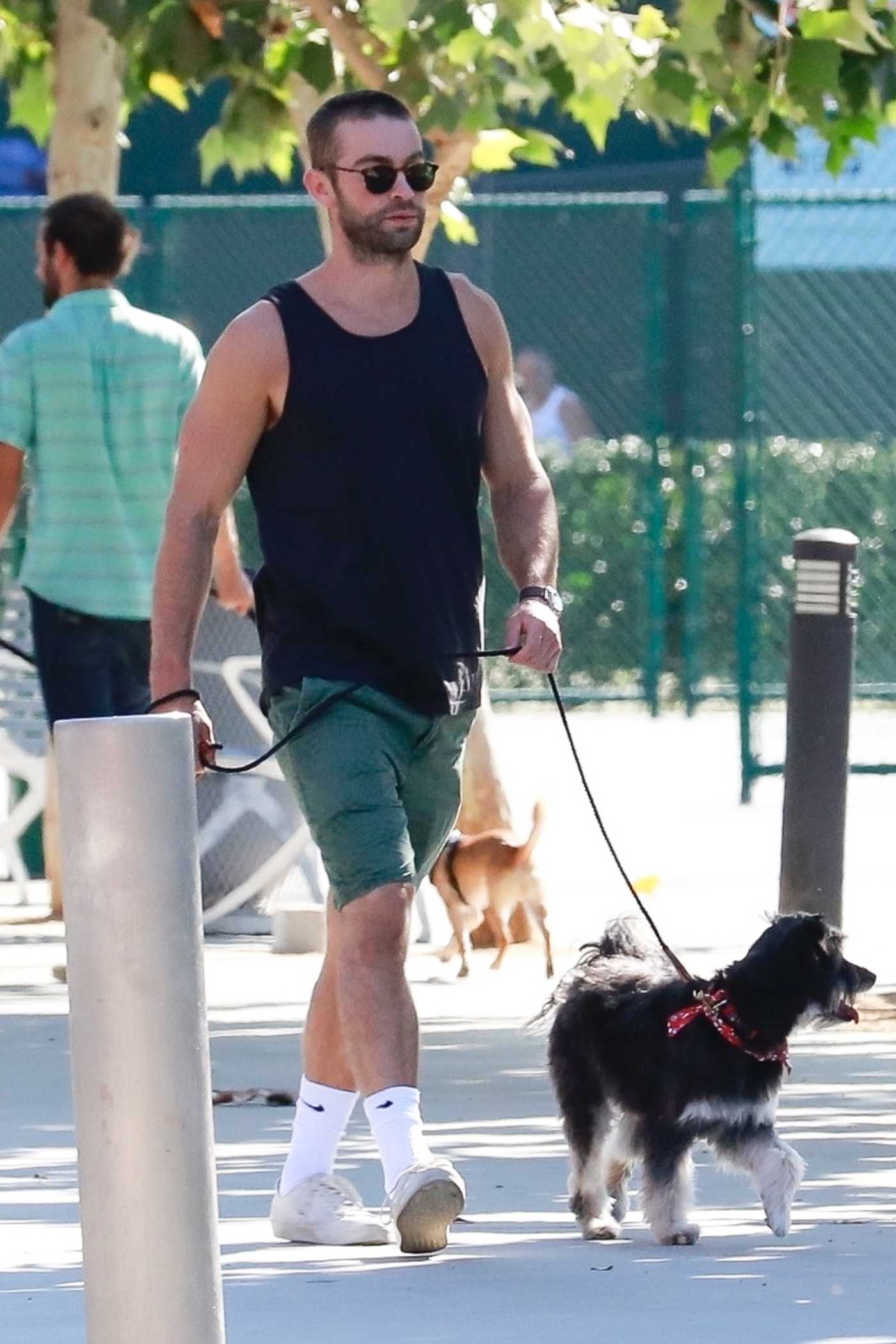Chace Crawford in a Green Shorts Was Seen Out in West Hollywood 08/10/2019