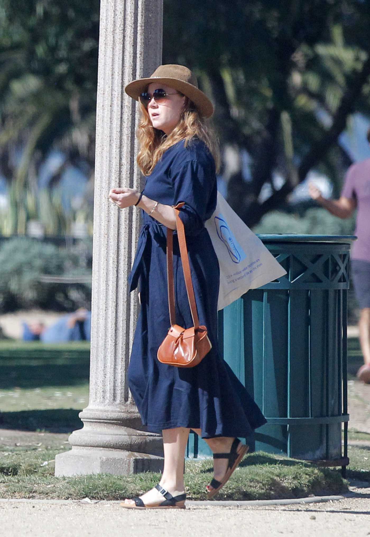 Amy Adams in a Blue Dress Goes Shopping in Santa Monica 12/05/2019