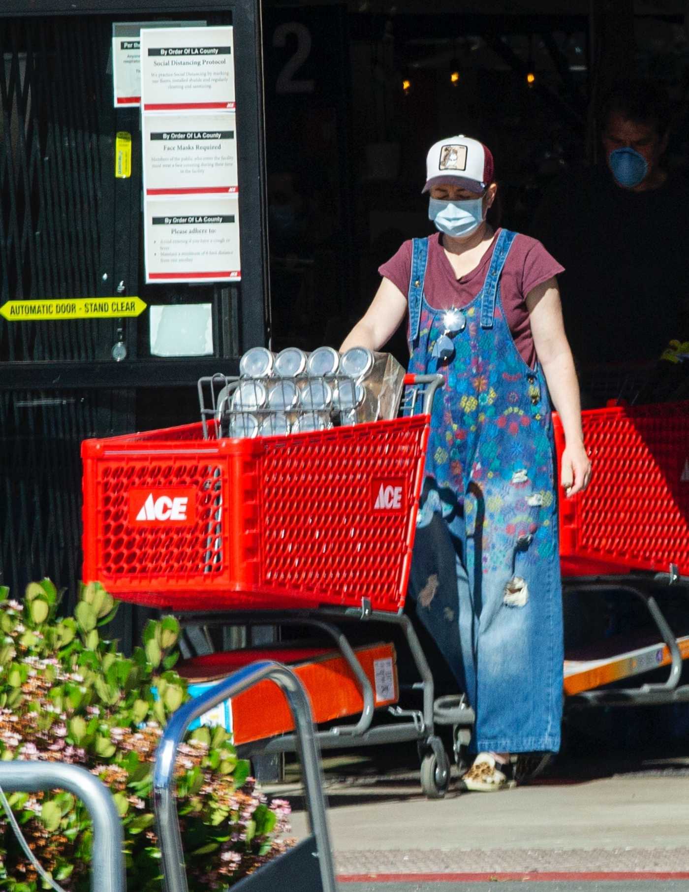 Alyson Hannigan in a Ripped Denim Coveralls Goes Shopping at Ace Hardware Store in Los Angeles 04/23/2020