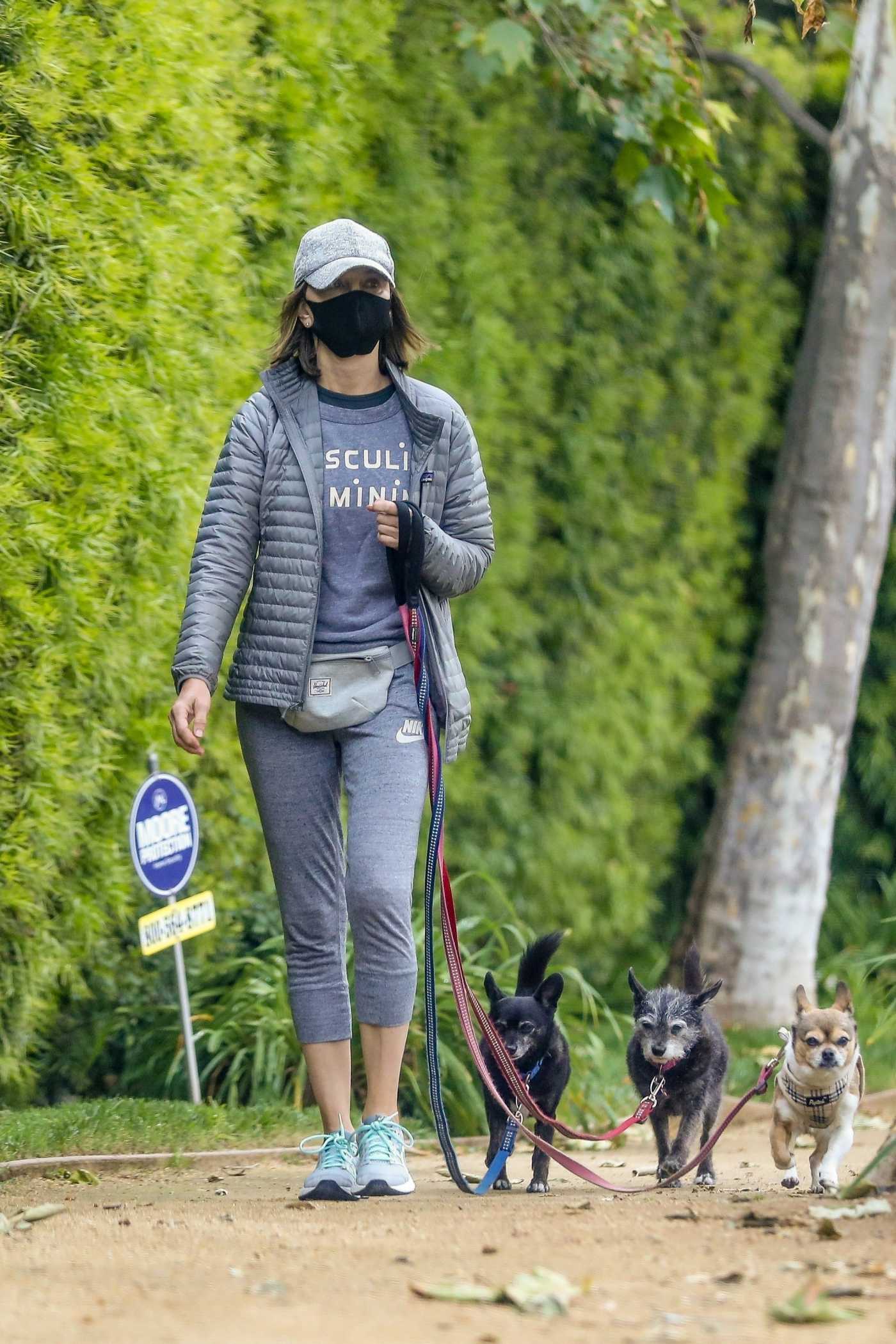 Calista Flockhart in a Black Face Mask Walks Her Dogs in Pacific Palisades 04/17/2020