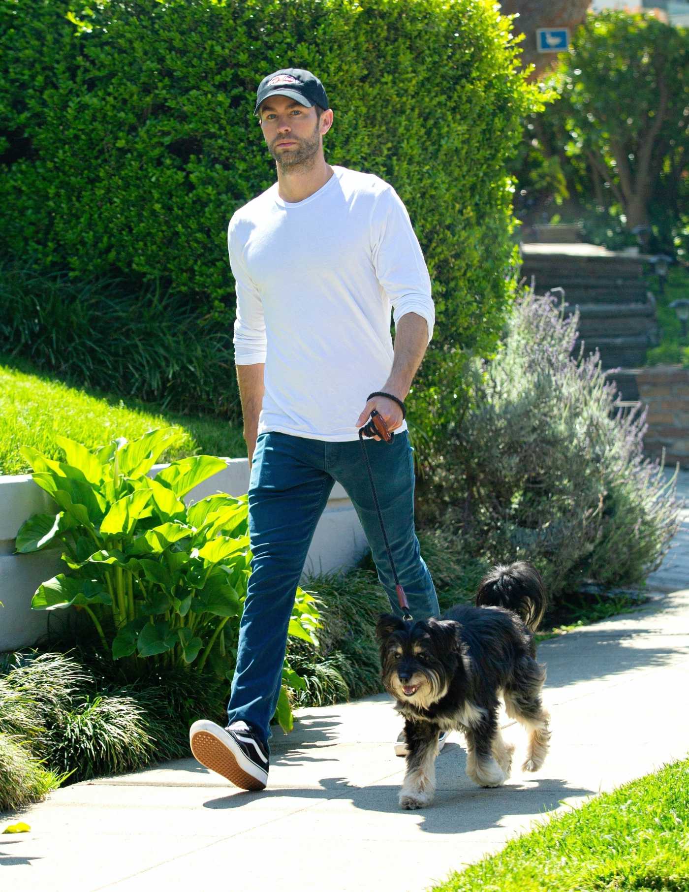 Chace Crawford in a Black Cap Walks His Dog in Los Angeles 04/11/2020