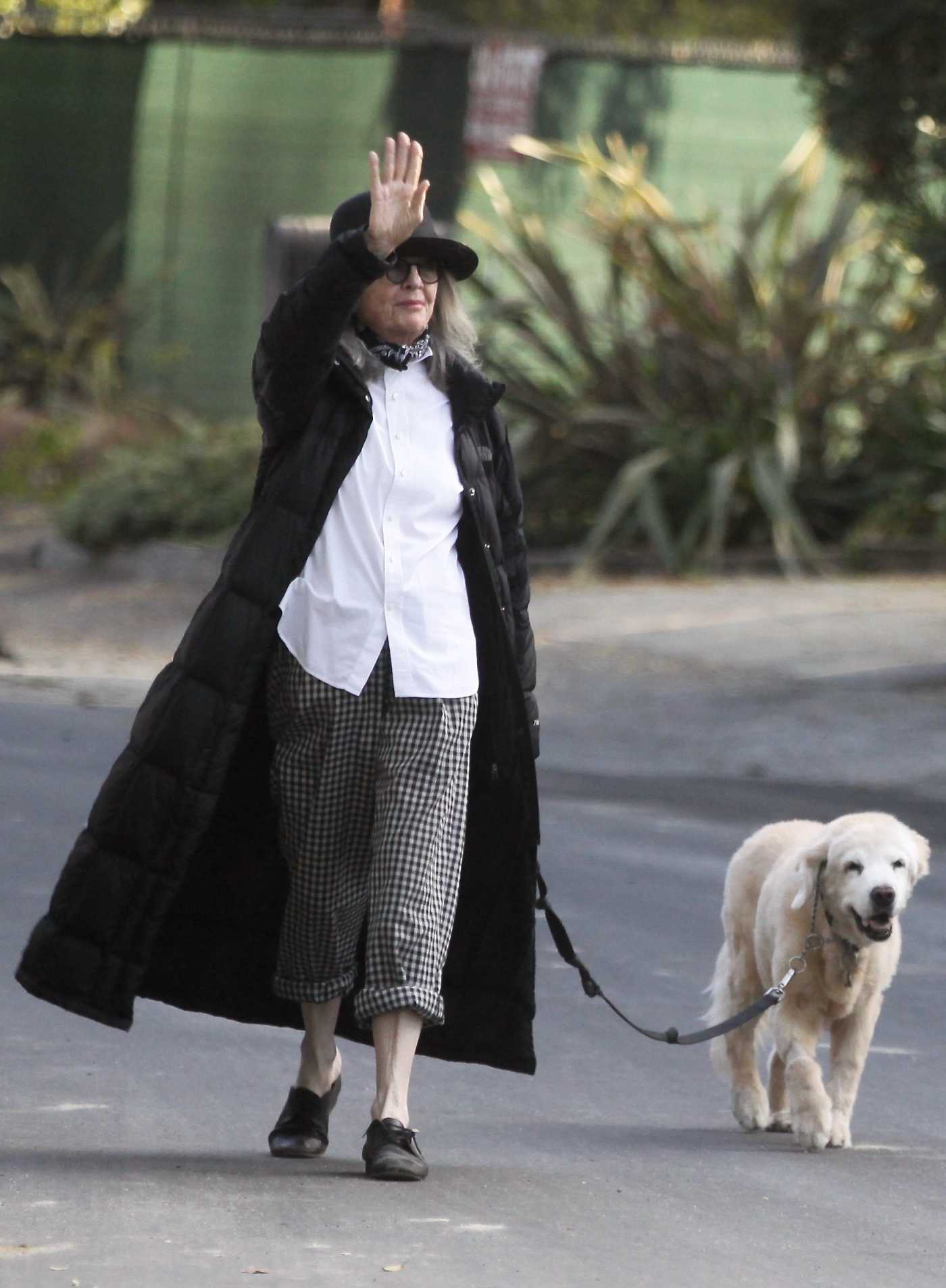 Diane Keaton in a Black Bowler Walks Her Dog Emmie in Brentwood 06/12/2020
