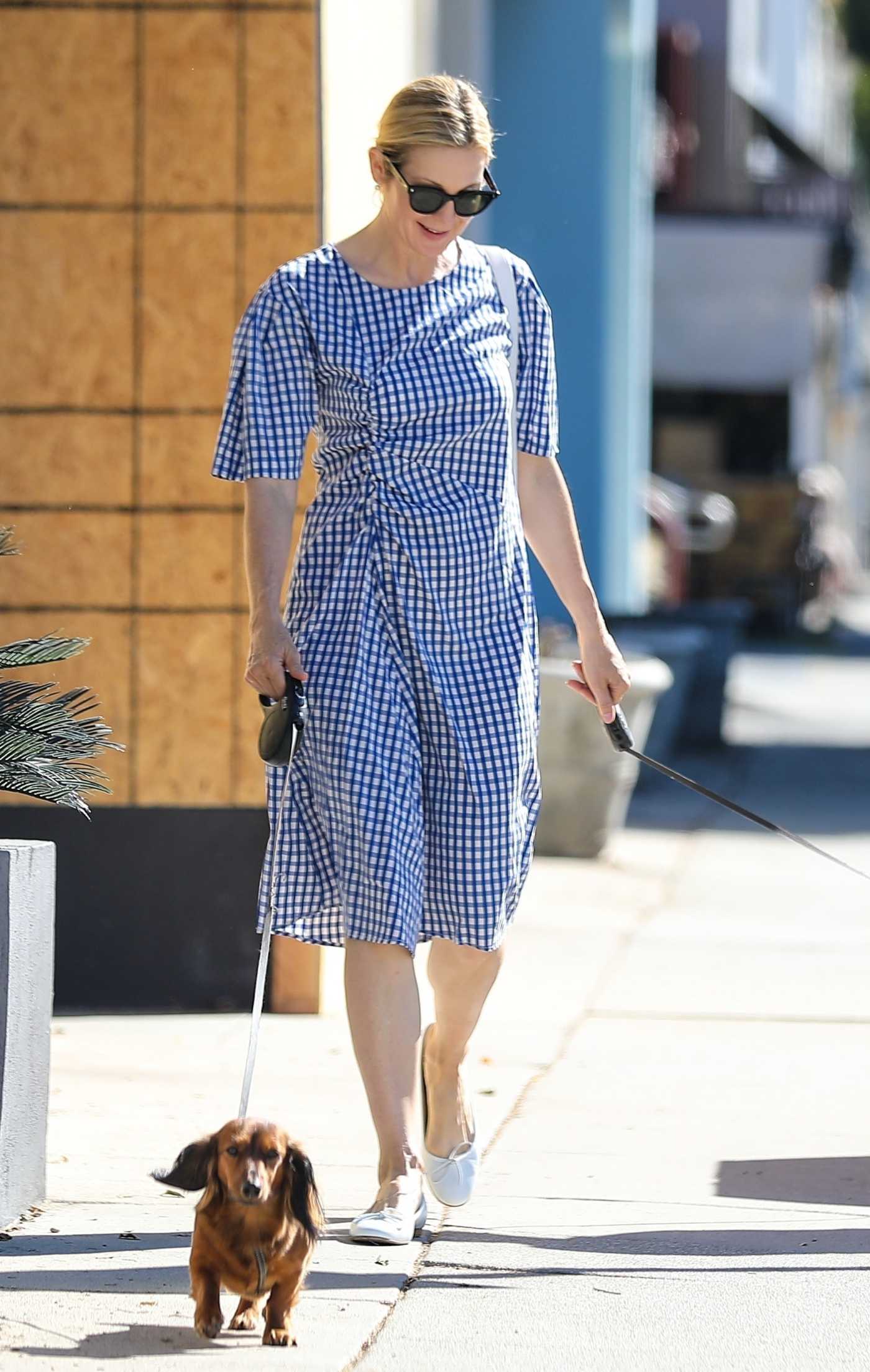 Kelly Rutherford in a Blue Checked Dress Walks Her Dogs in Santa Monica 06/10/2020