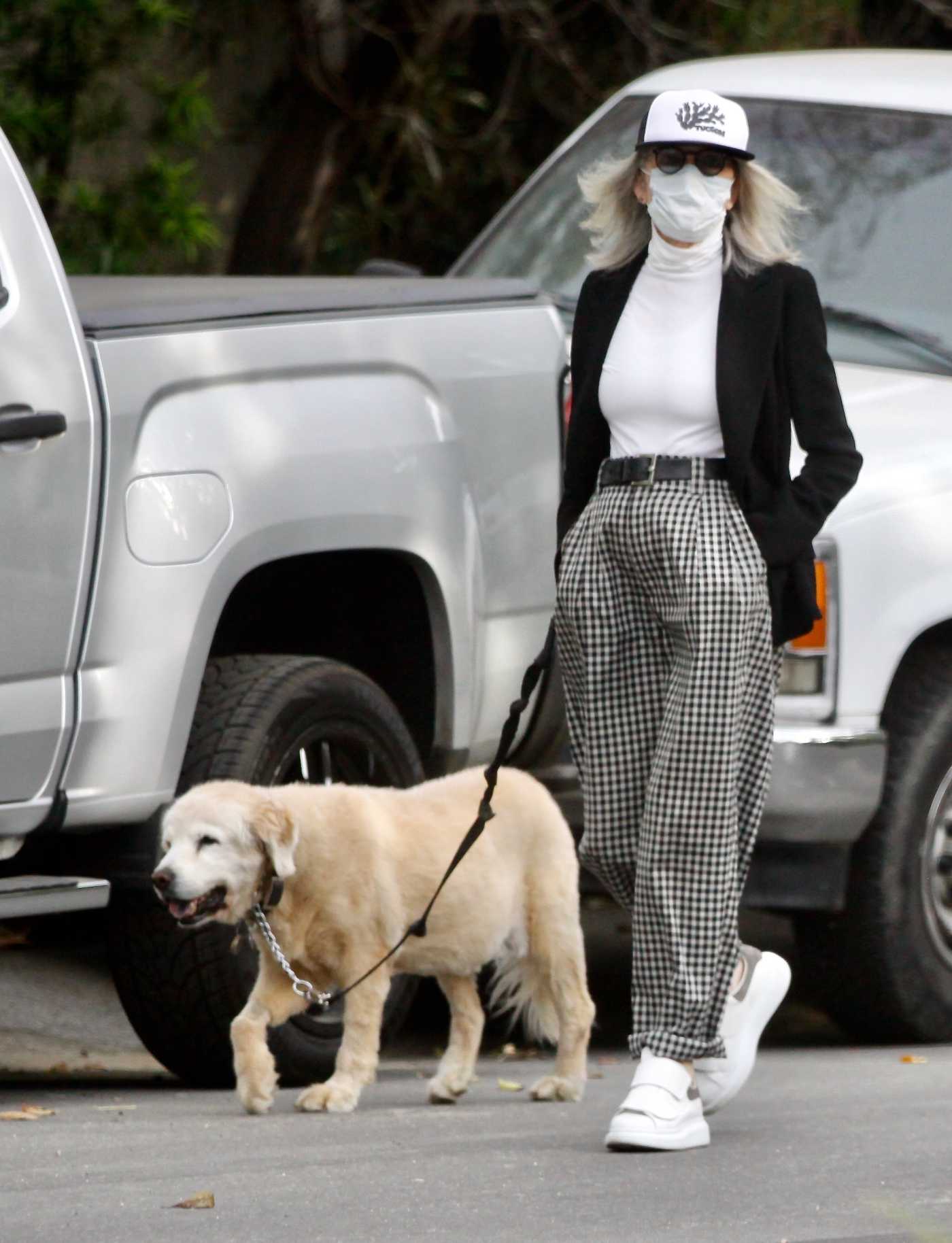 Diane Keaton in a White Turtleneck Walks Her Dog in Brentwood 07/27/2020