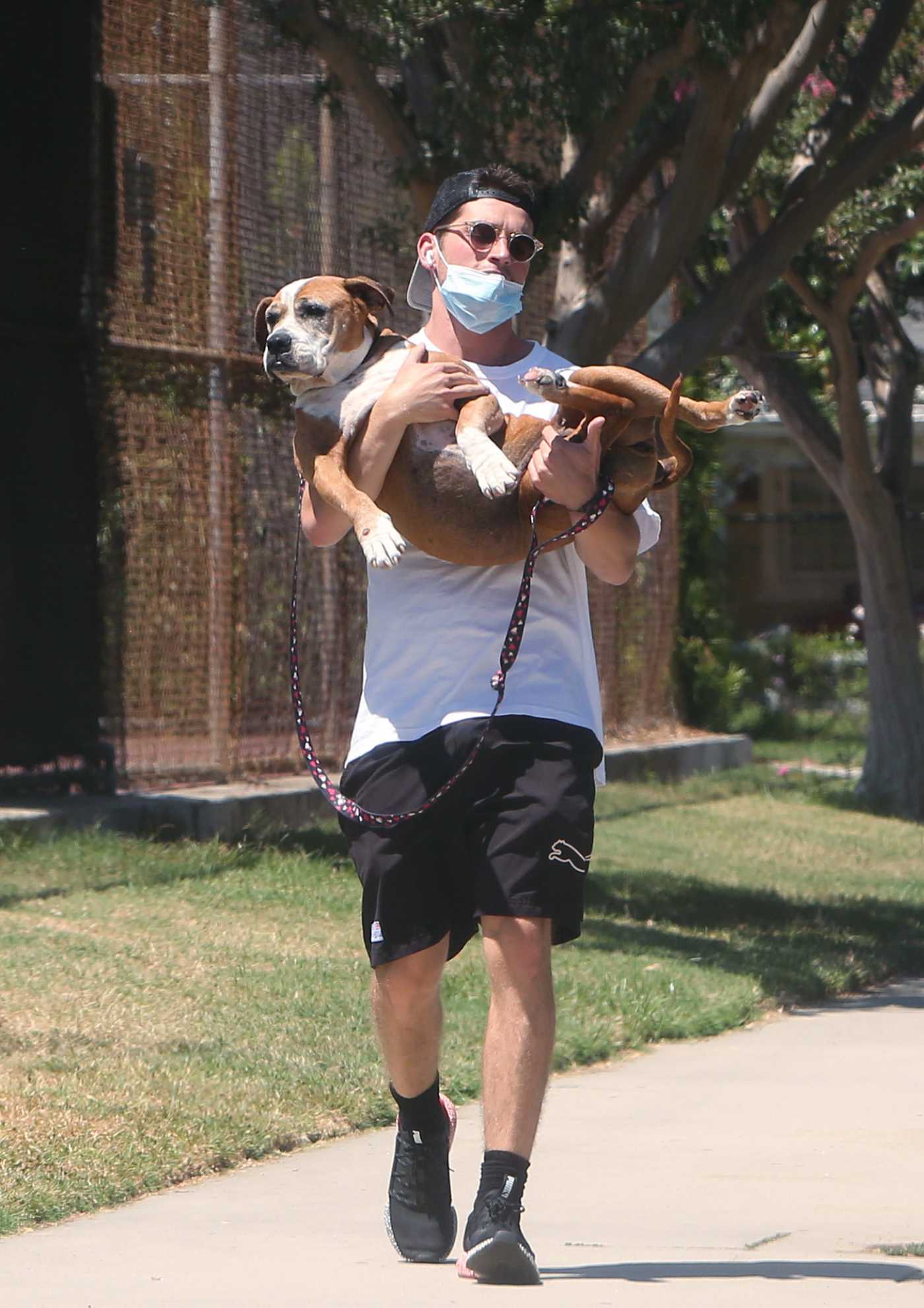 Gregg Sulkin in a White Tee Walks Her Dog in Los Angeles 07/29/2020