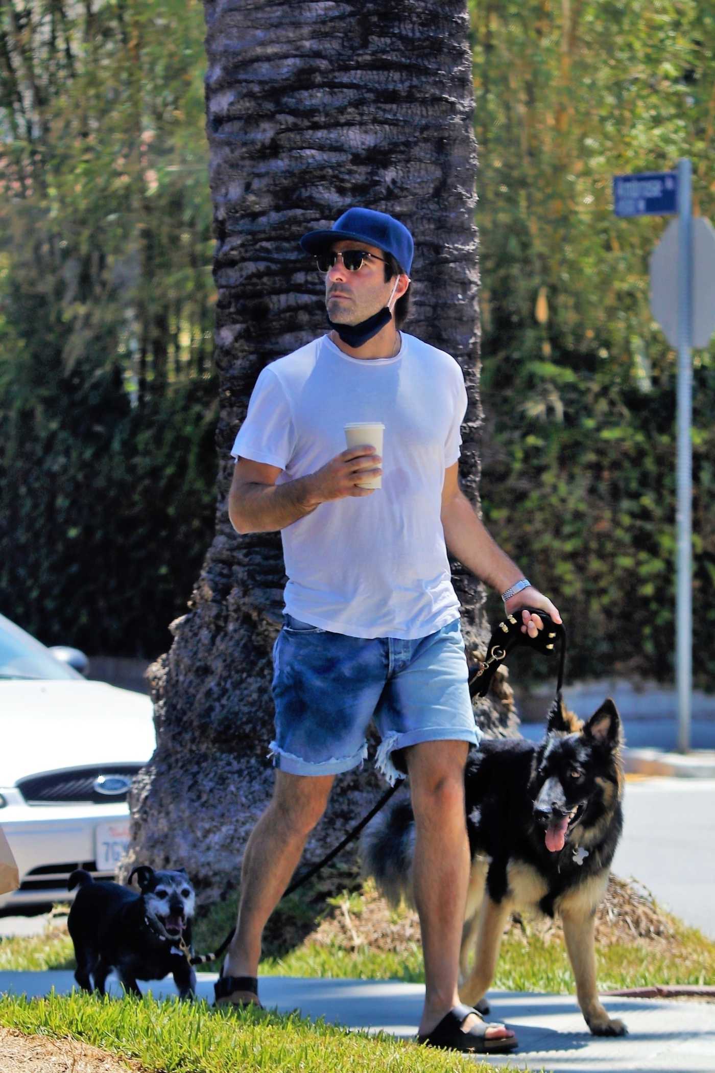 Zachary Quinto in a White Tee Walks His Dog in Los Feliz 08/01/2020