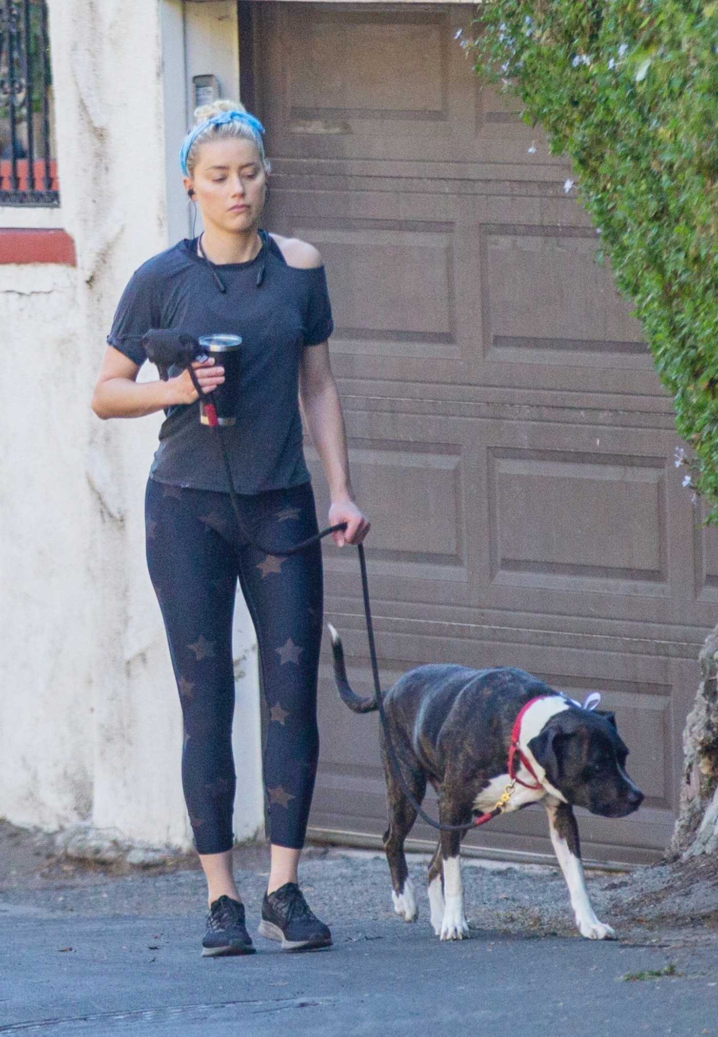 Amber Heard in a Black Tee Walks Her Dog in Los Angeles 11/15/2020