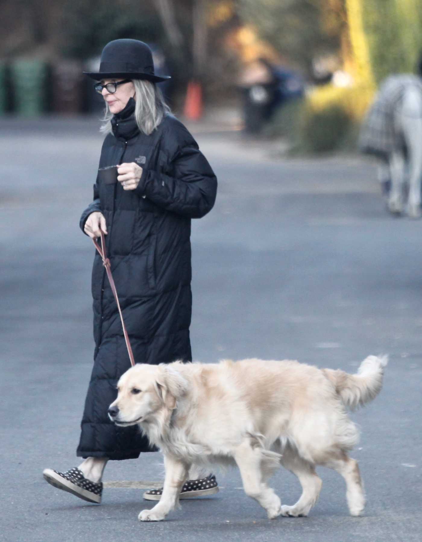 Diane Keaton in a Black Hat Walks Her Golden Retriever Reggie in Brentwood 11/10/2020