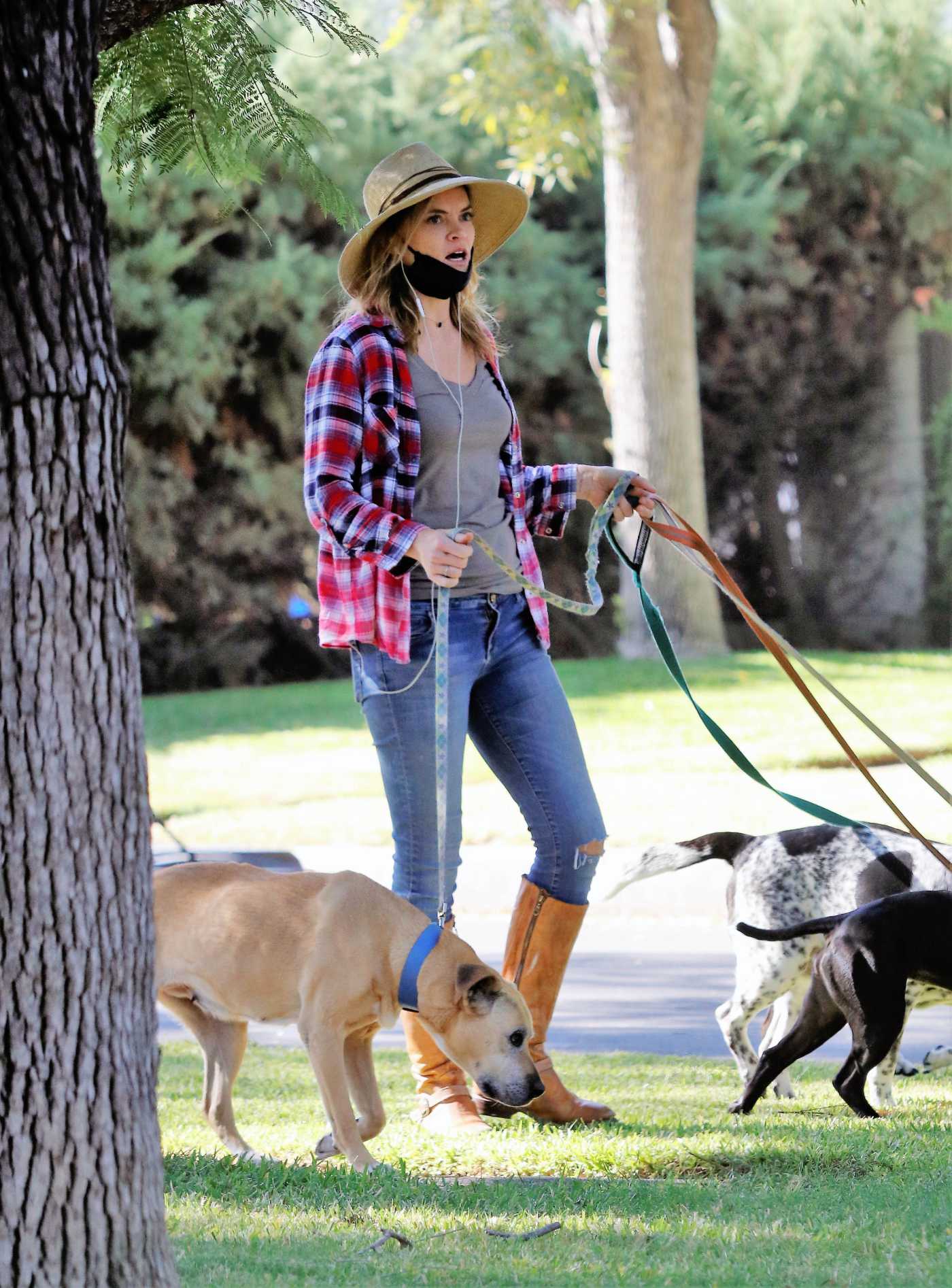Missi Pyle in a Plaid Shirt Walks Her Dogs in Los Angeles 11/13/2020