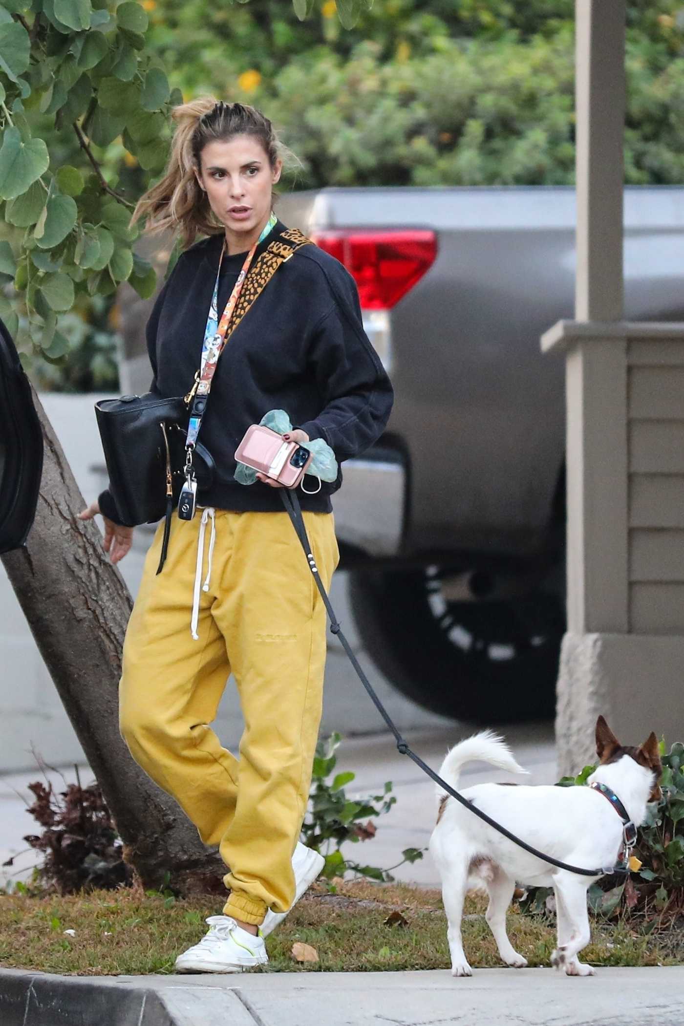 Elisabetta Canalis in a Yellow Sweatpants Walks Her Dog in Los Angeles 12/02/2020
