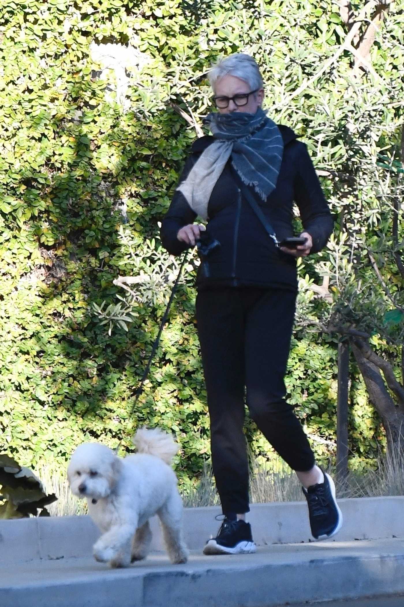 Jamie Lee Curtis in a Black Outfit Walks Her Dog in Los Angeles 12/18/2020