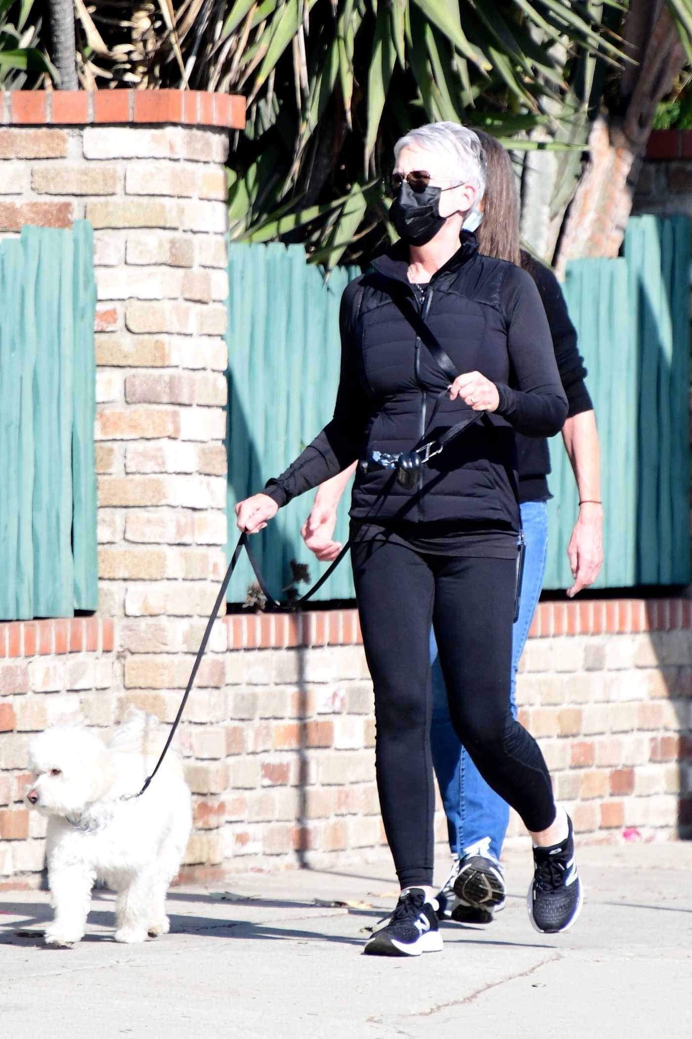 Jamie Lee Curtis in a Black Outfit Walks Her Dog in Santa Monica 01/21 ...