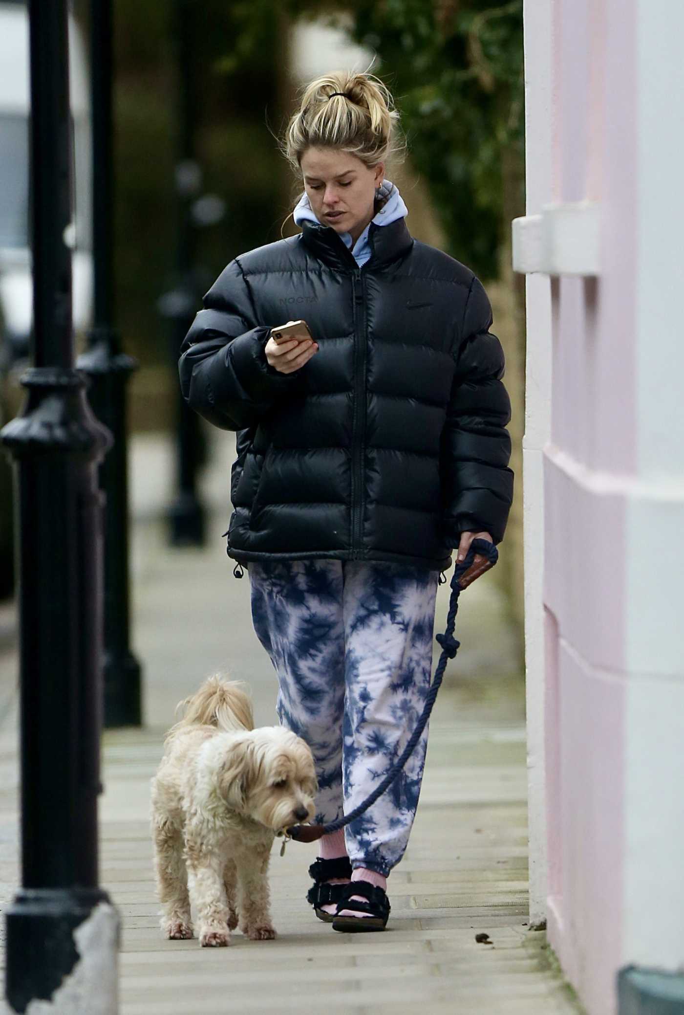 Alice Eve in a lack Puffer Jacket Walks Her Dog in London 01/22/2021
