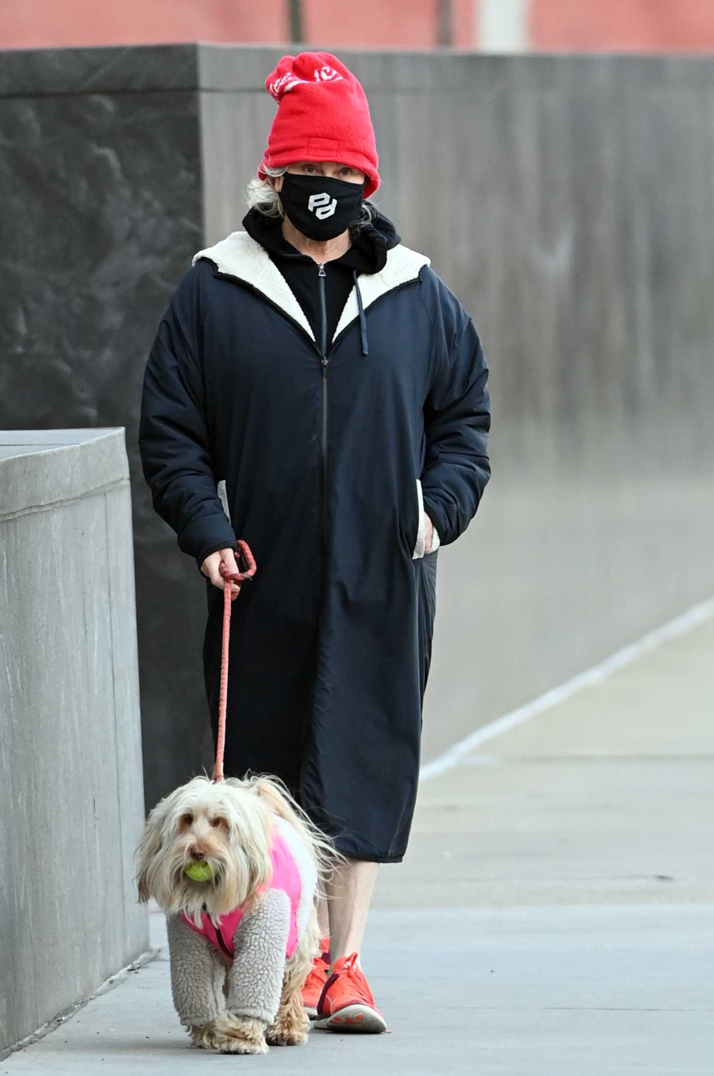 Deborra-Lee Furness in a Red Knit Hat Walks Her Dogs Out with Hugh Jackman in the Hudson River Side in New York 01/19/2021