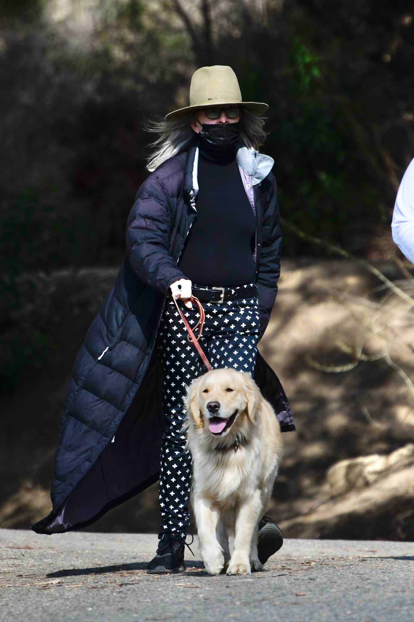 Diane Keaton in a Beige Hat Walks Her Dog in Brentwood 01/03/2021