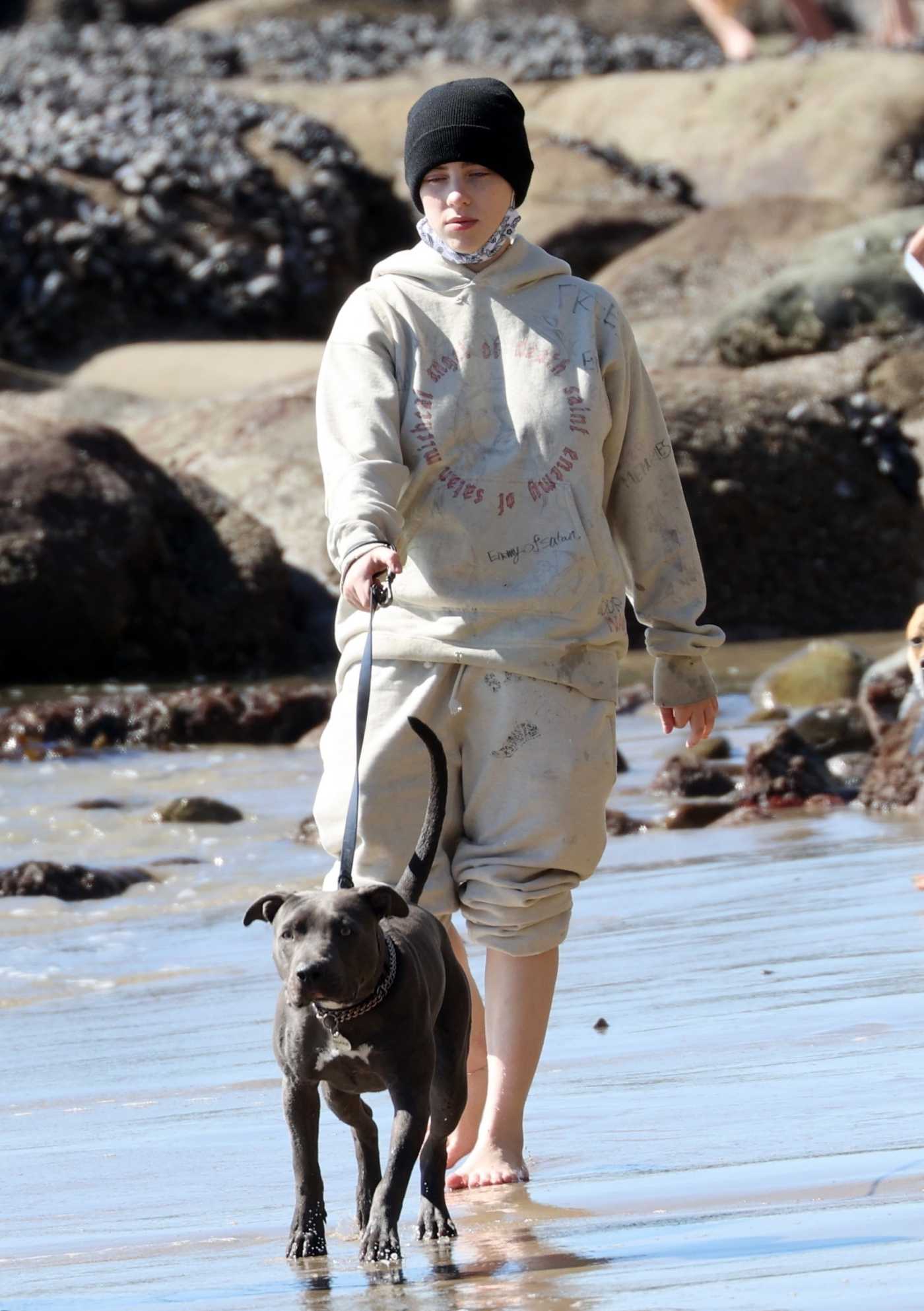 Billie Eilish in a Black Knit Hat Walks Her Dog on the Beach in Malibu 02/21/2021