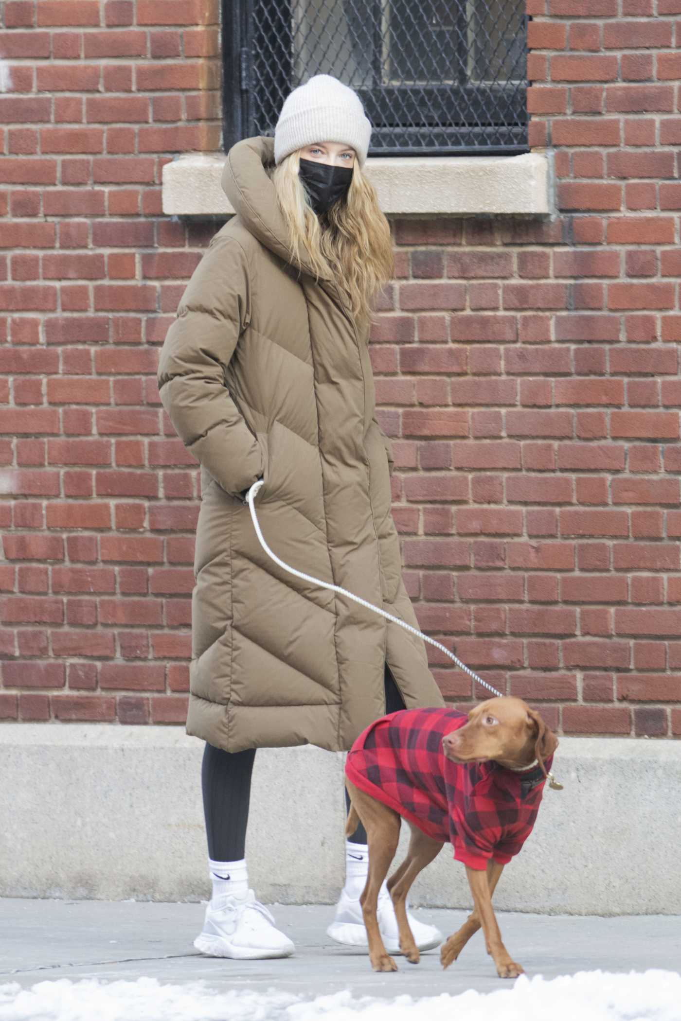 Kate Bock in a Tan Puffer Coat Walks Her Dog in New York 02/12/2021