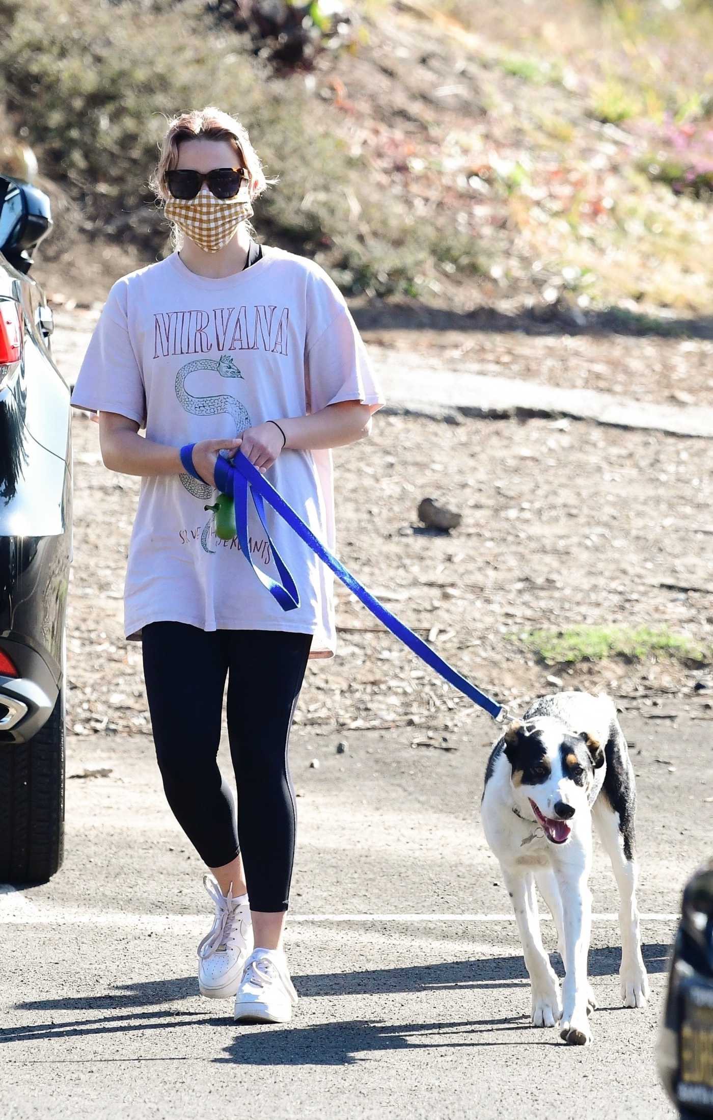 Ava Phillippe in a White Tee Walks Her Dog in Brentwood 03/19/2021