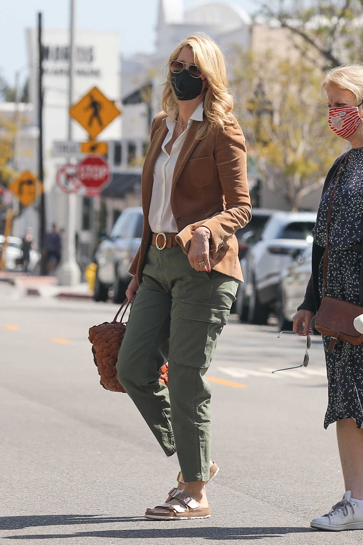 Laura Dern in a Purple Coat Walks Her Dog Near Her Home in Pacific