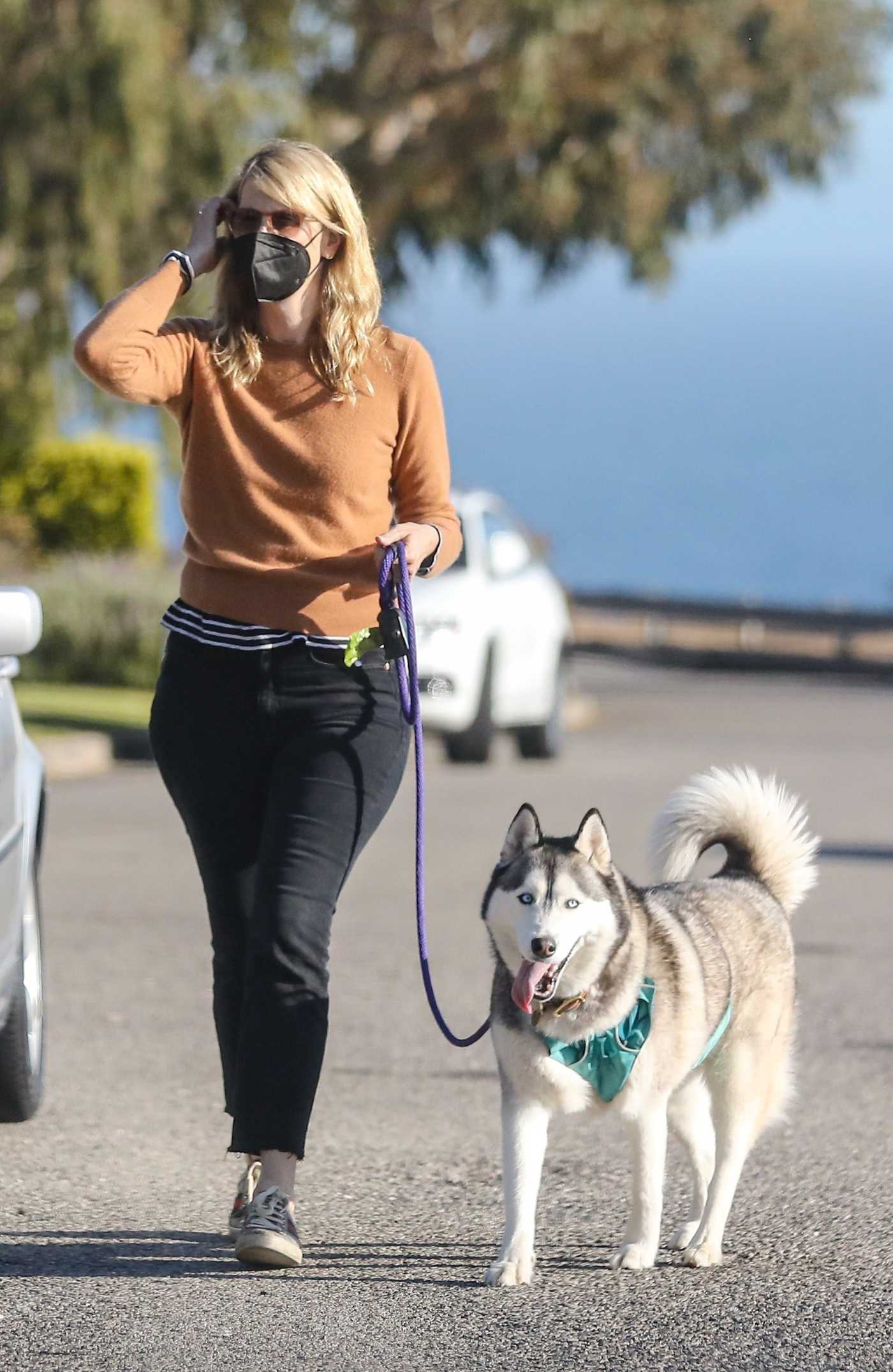 Laura Dern in a Black Protective Mask Walks Her Dog in Pacific Palisades 06/10/2021