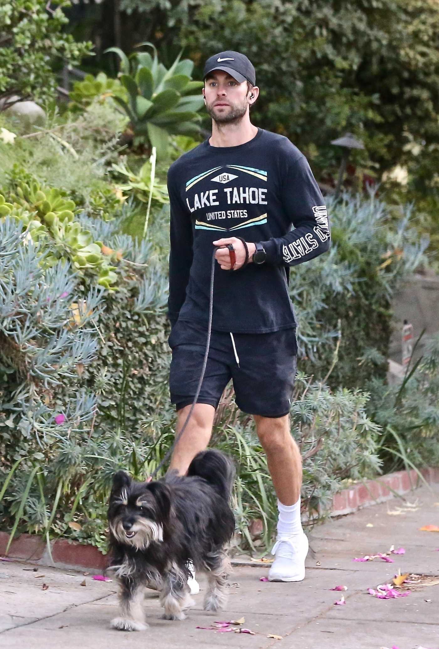 Chace Crawford in a Black Cap Walks His Dog in Los Feliz 10/21/2021