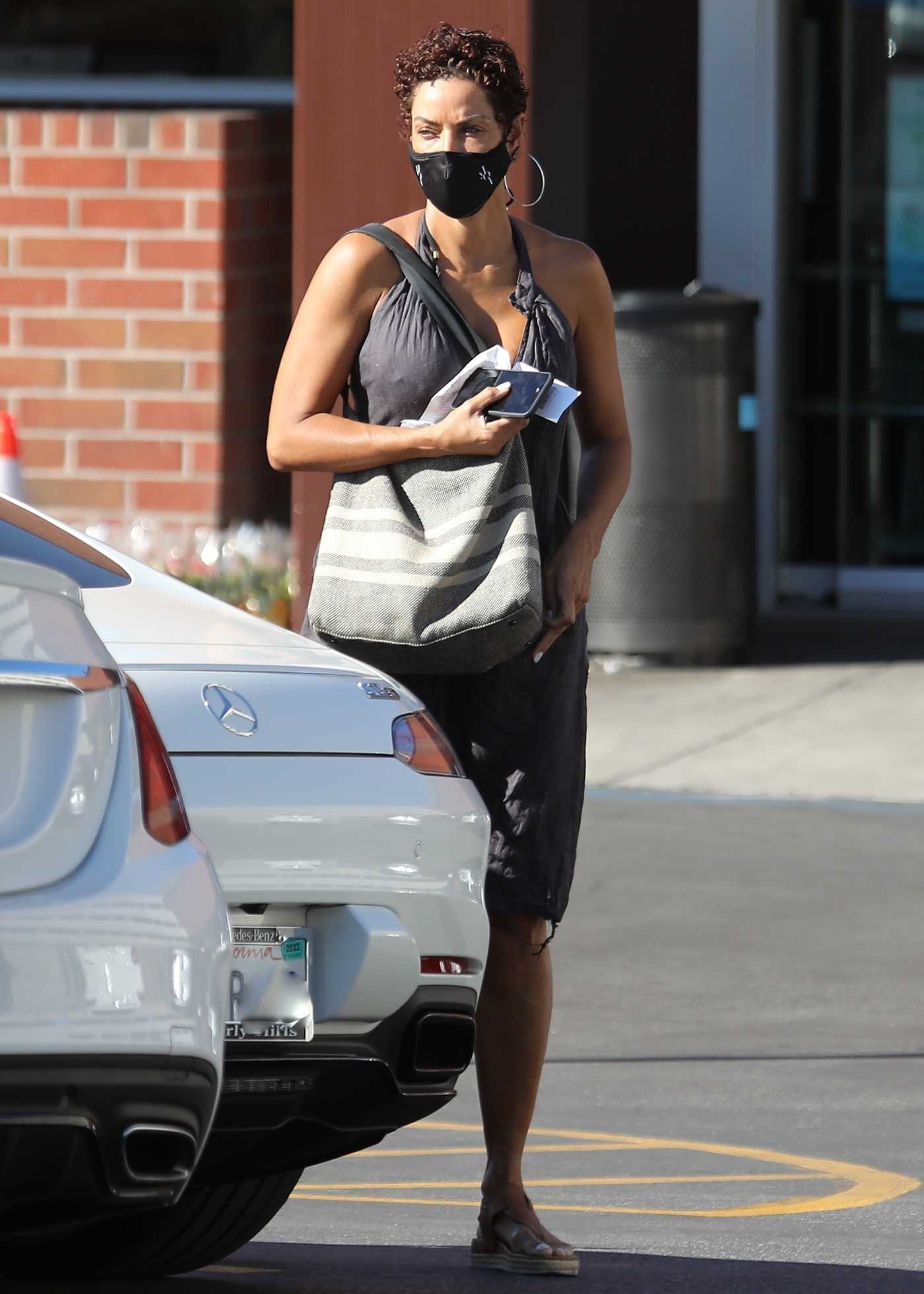 Nicole Murphy in a Grey Sundress Takes Her Dog Along to the Pet Store in Beverly Hills 11/28/2021