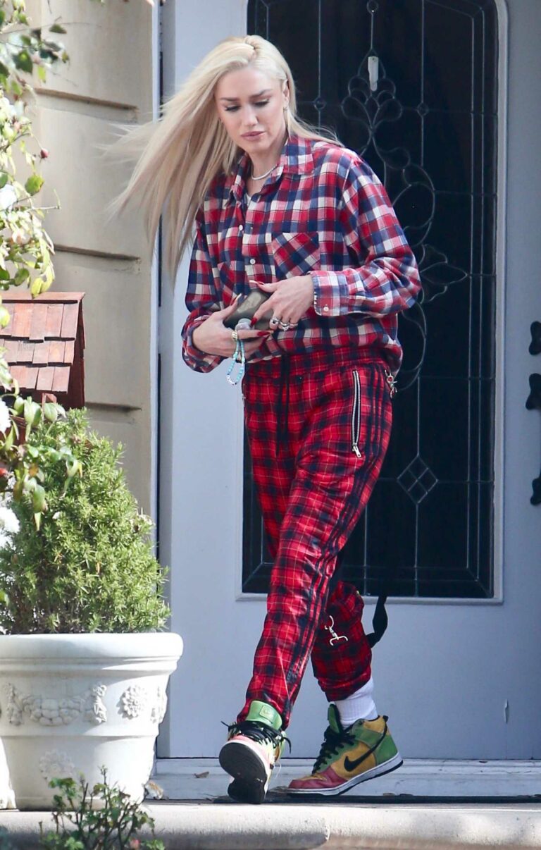 Gwen Stefani in a Plaid Outfit