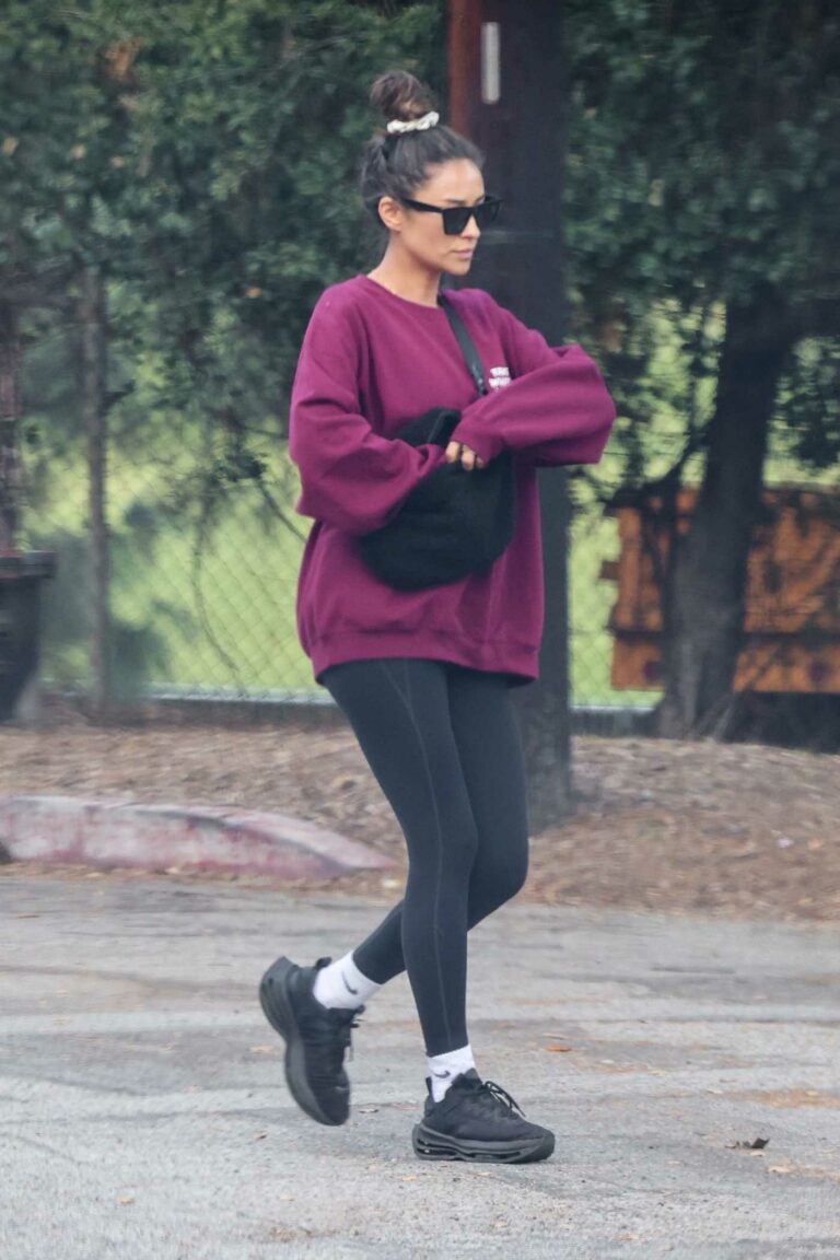 Shay Mitchell in a Lilac Sweatshirt