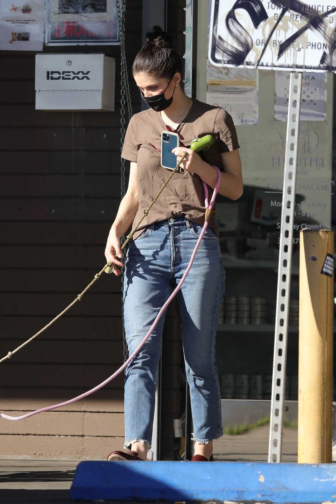 Alexandra Daddario in a Black Protective Mask Visits a Pet Clinic in Los Angeles 02/04/2022