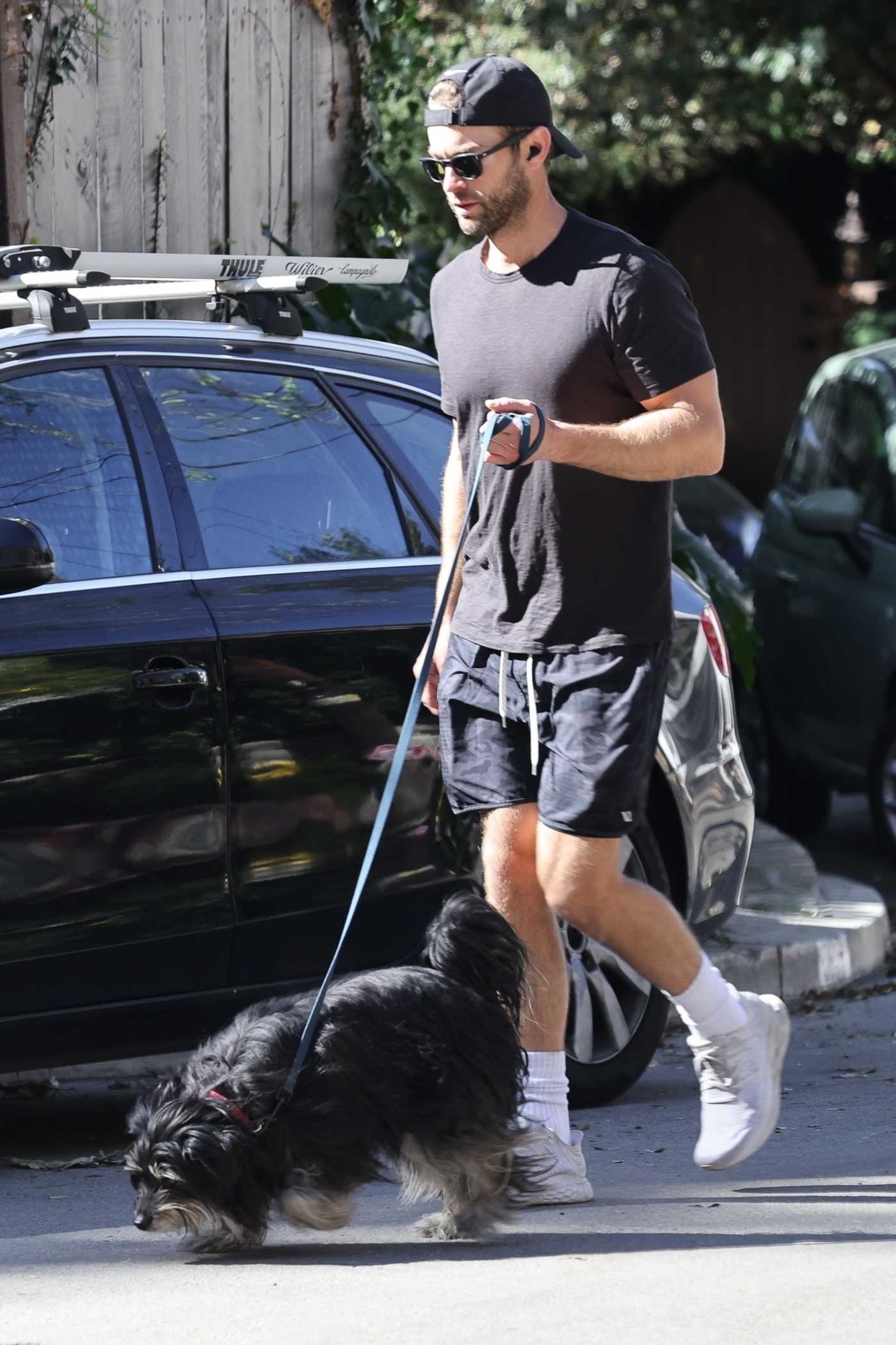 Chace Crawford in a Black Tee Walks His Dog in Los Feliz 02/12/2022
