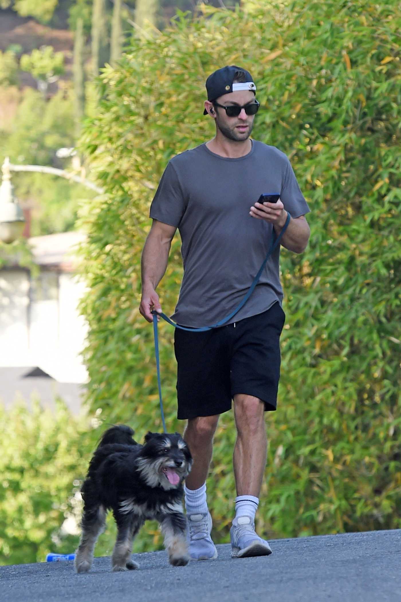 Chace Crawford in a Grey Tee Walks His Dog in Los Angeles 05/03/2022