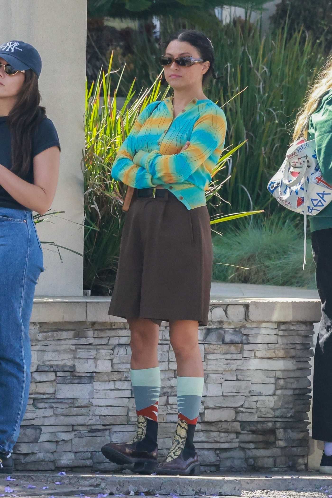 Alia Shawkat in a Brown Skirt Was Seen Out in Los Feliz 05/31/2022