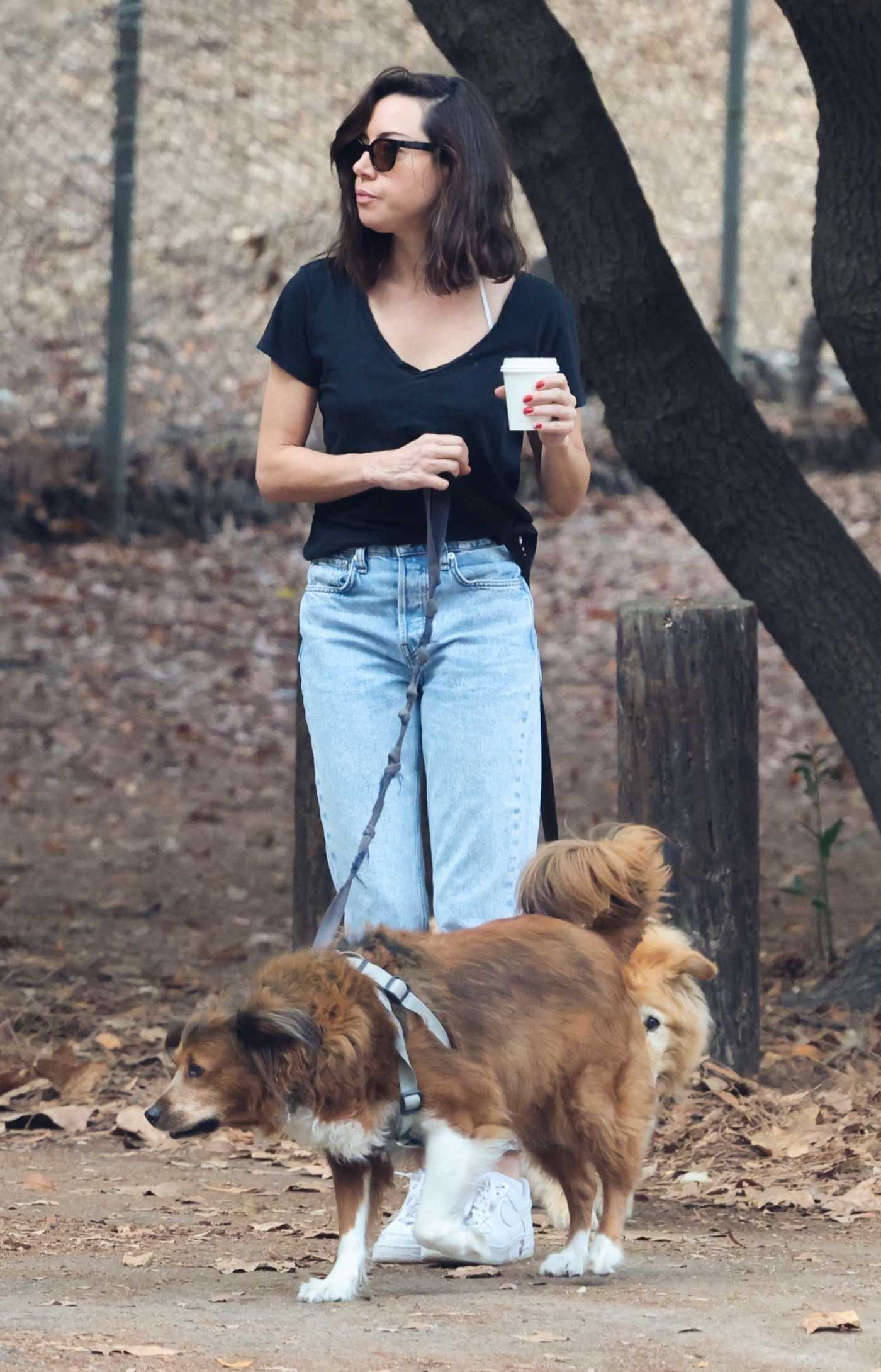 Aubrey Plaza in a Black Tee Walks Her Dogs in Los Feliz 10/22/2022