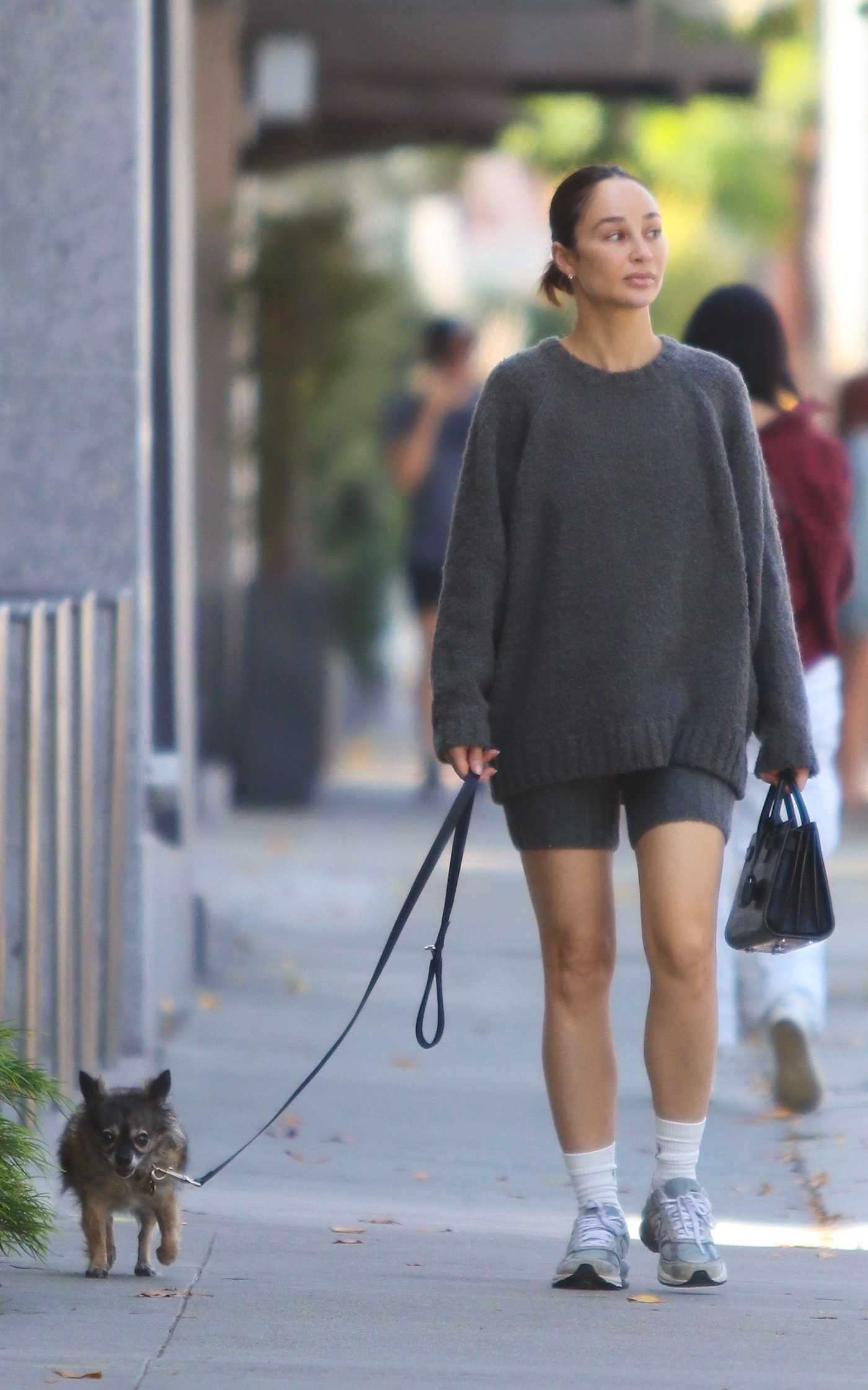 Cara Santana in a Grey Sweater Walks Her Dog in West Hollywood 10/09/2022