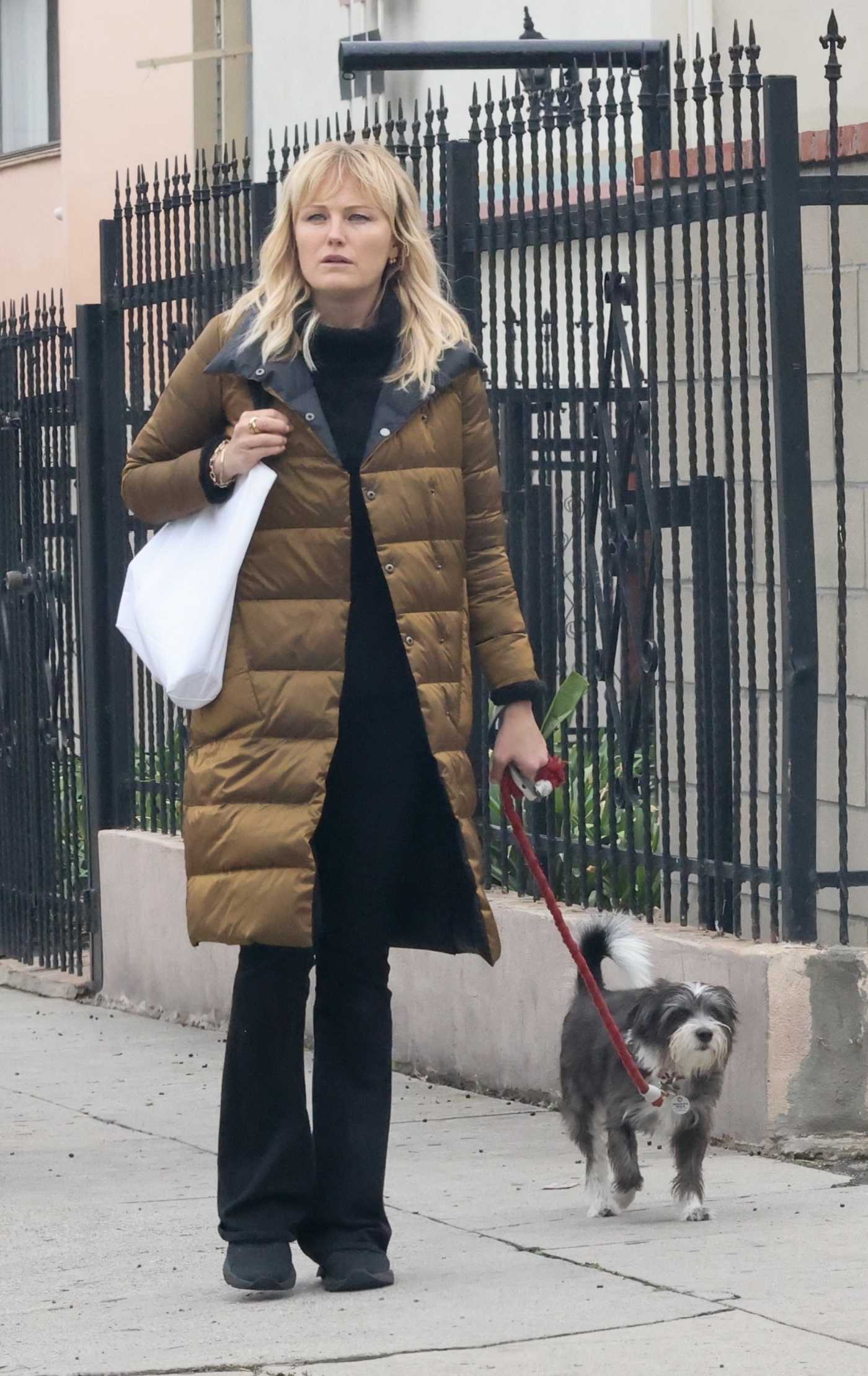 Malin Akerman in a Gold Puffer Coat Walks Her Dog in Los Angeles 12/02/2022