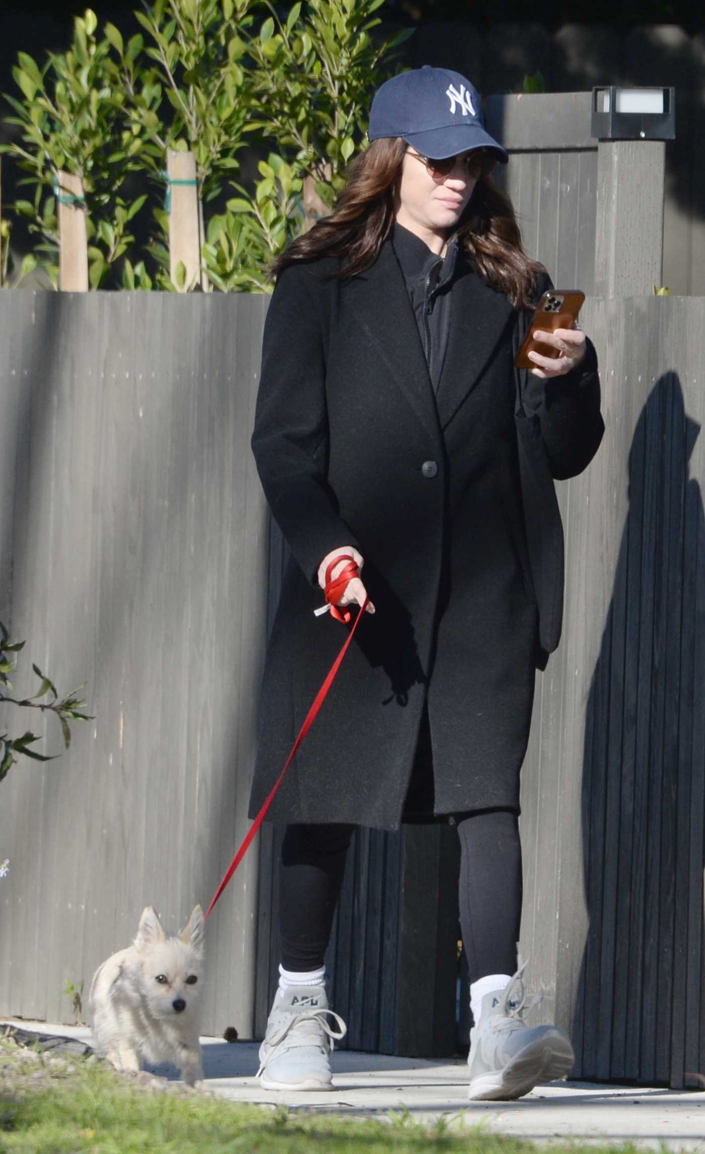 Brittany Snow in a Black Coat Walks Her Dog in Los Angeles 01/20/2023