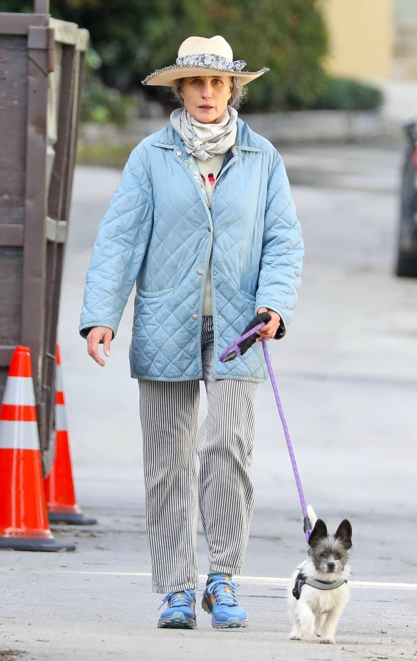 Andie MacDowell in a Baby Blue Jacket Walks Her Dog in Silver Lake 03/23/2023