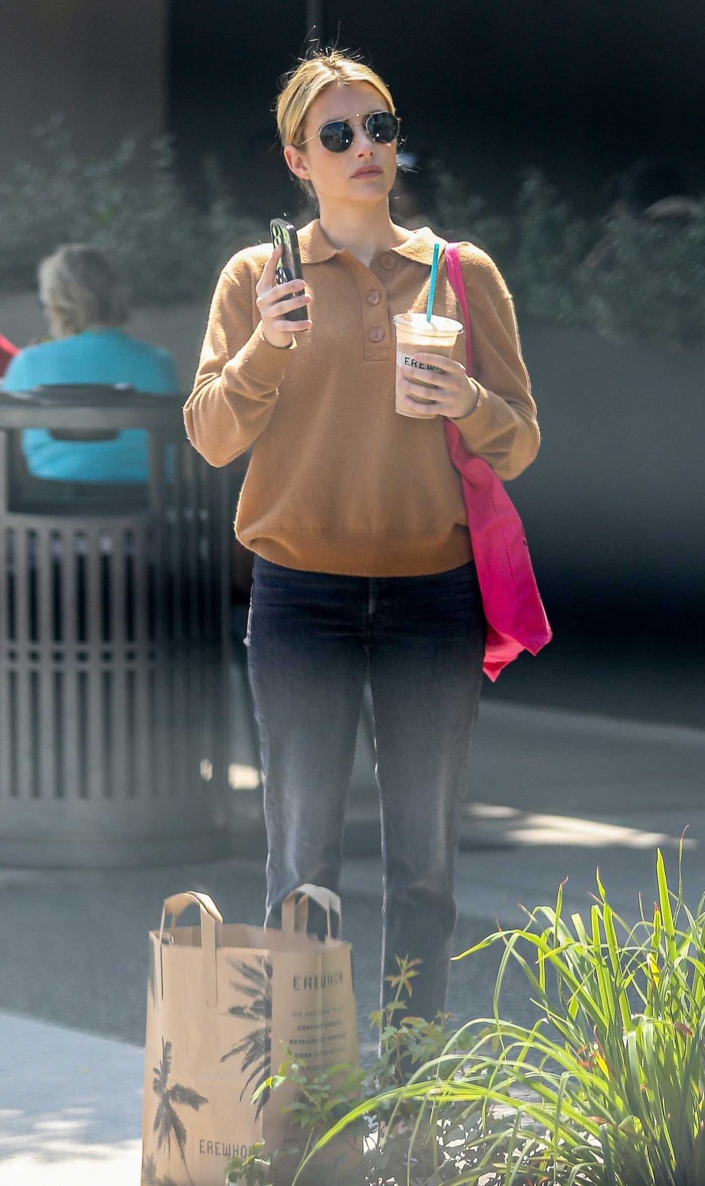 Emma Roberts Goes Shopping at Erewhon Market in Los Angeles 09/18/2023