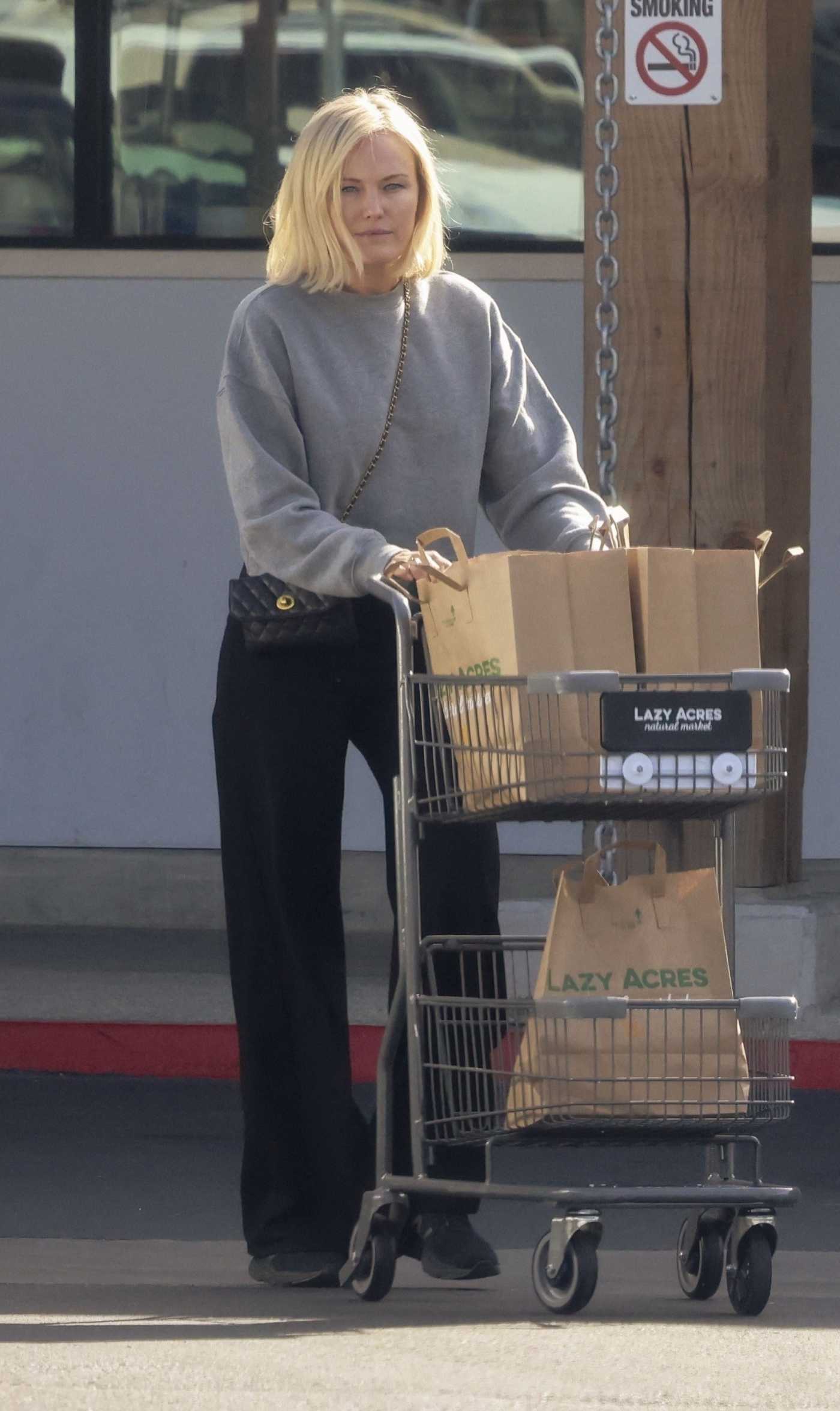 Malin Akerman in a Grey Sweatshirt Goes Grocery Shopping at Lazy Acres in Los Feliz 11/27/2023