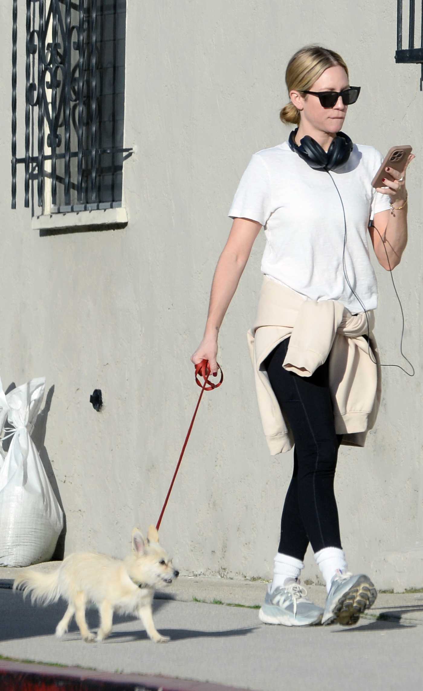 Brittany Snow in a White Tee Walks Her Dog in Los Angeles 02/26/2024