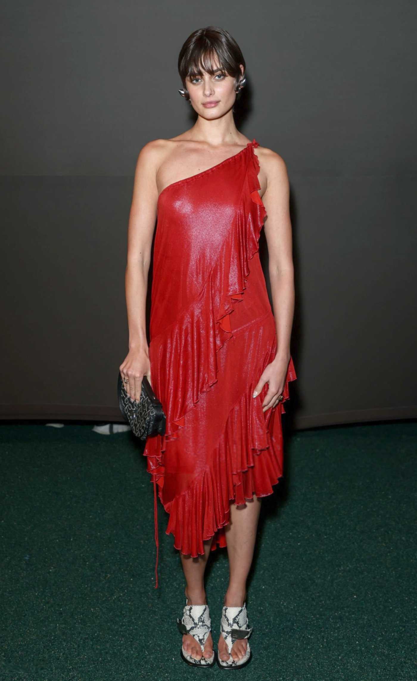 Taylor Hill in a Red Dress Attends the Burberry Fashion Show During 2024 London Fashion Week in London 02/19/2024