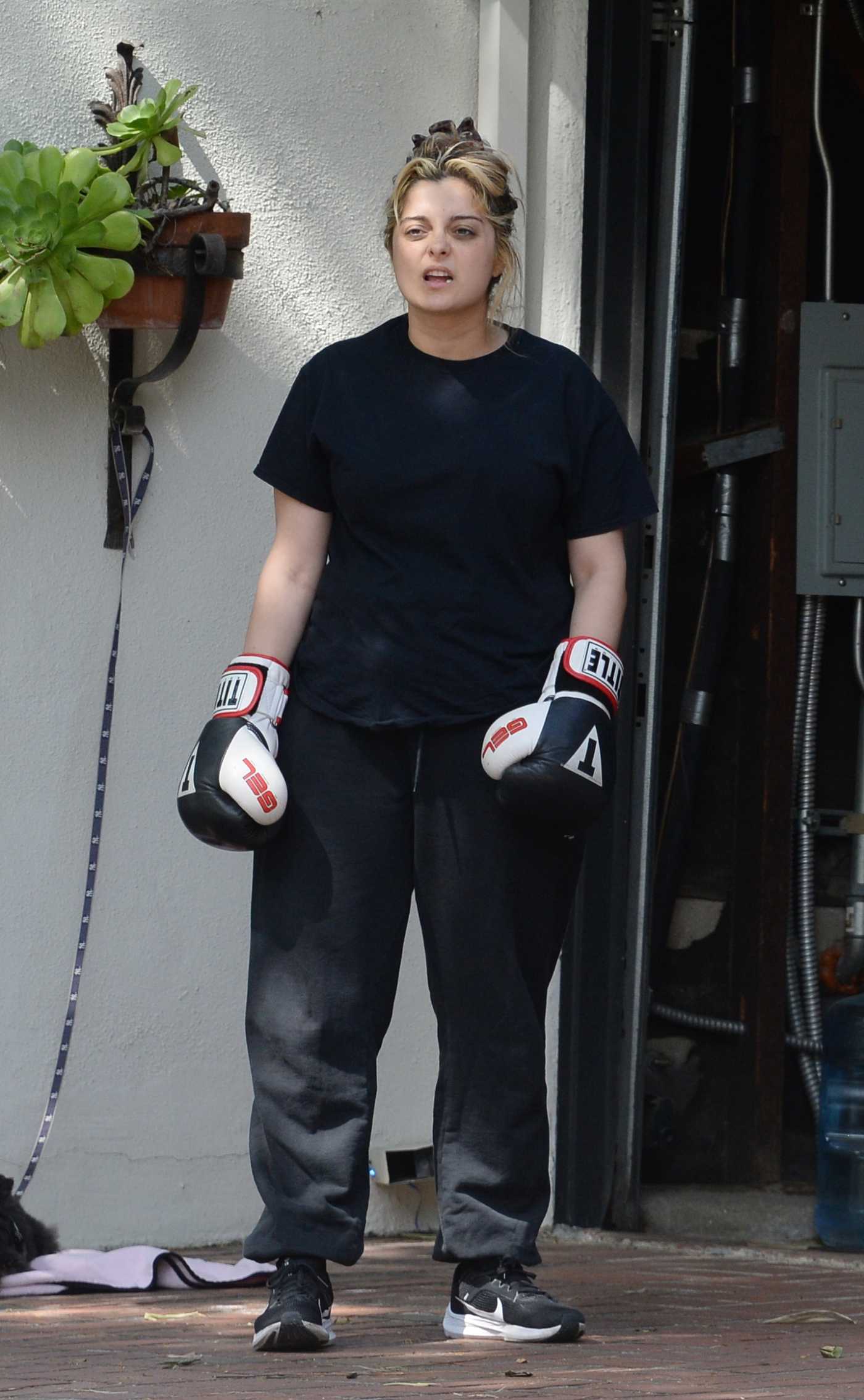 Bebe Rexha in a Black Tee Shows off Her Boxing Skills with a Trainer in Los Angeles 03/16/2024