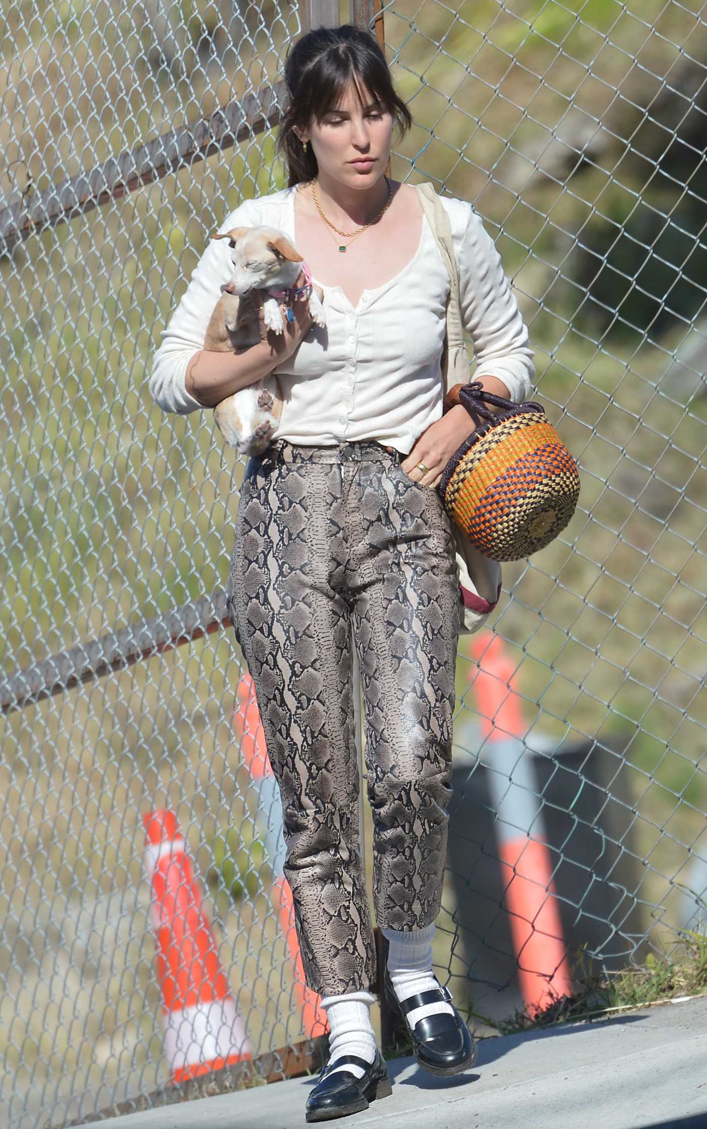 Scout Willis in a Snakeskin Print Pants Cuddles Her Pet Chihuahua Out in Los Angeles 03/30/2024