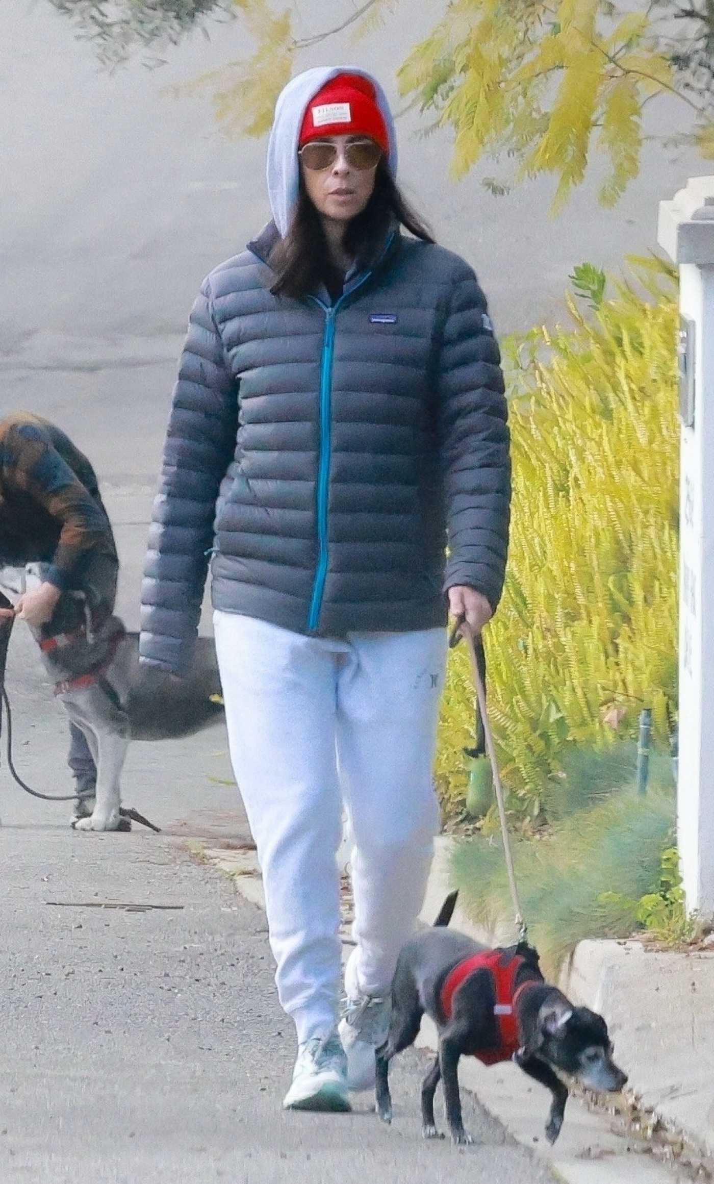 Sarah Silverman in a Black Jacket Walks Her Dogs with Rory Albanese in Los Feliz