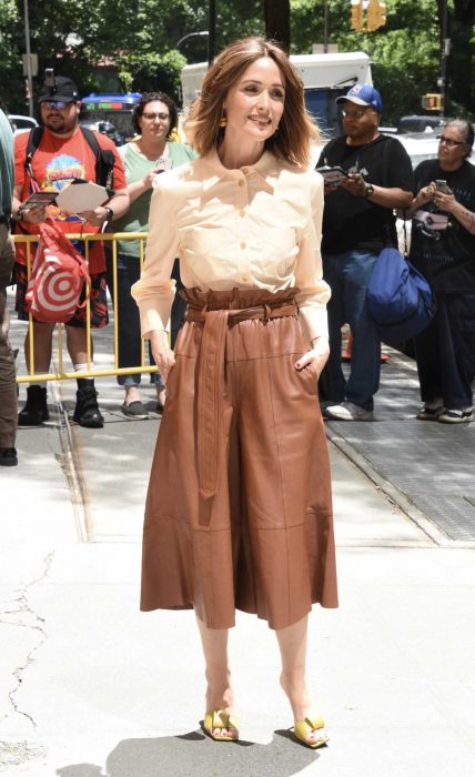 Rose Byrne in a Beige Blouse