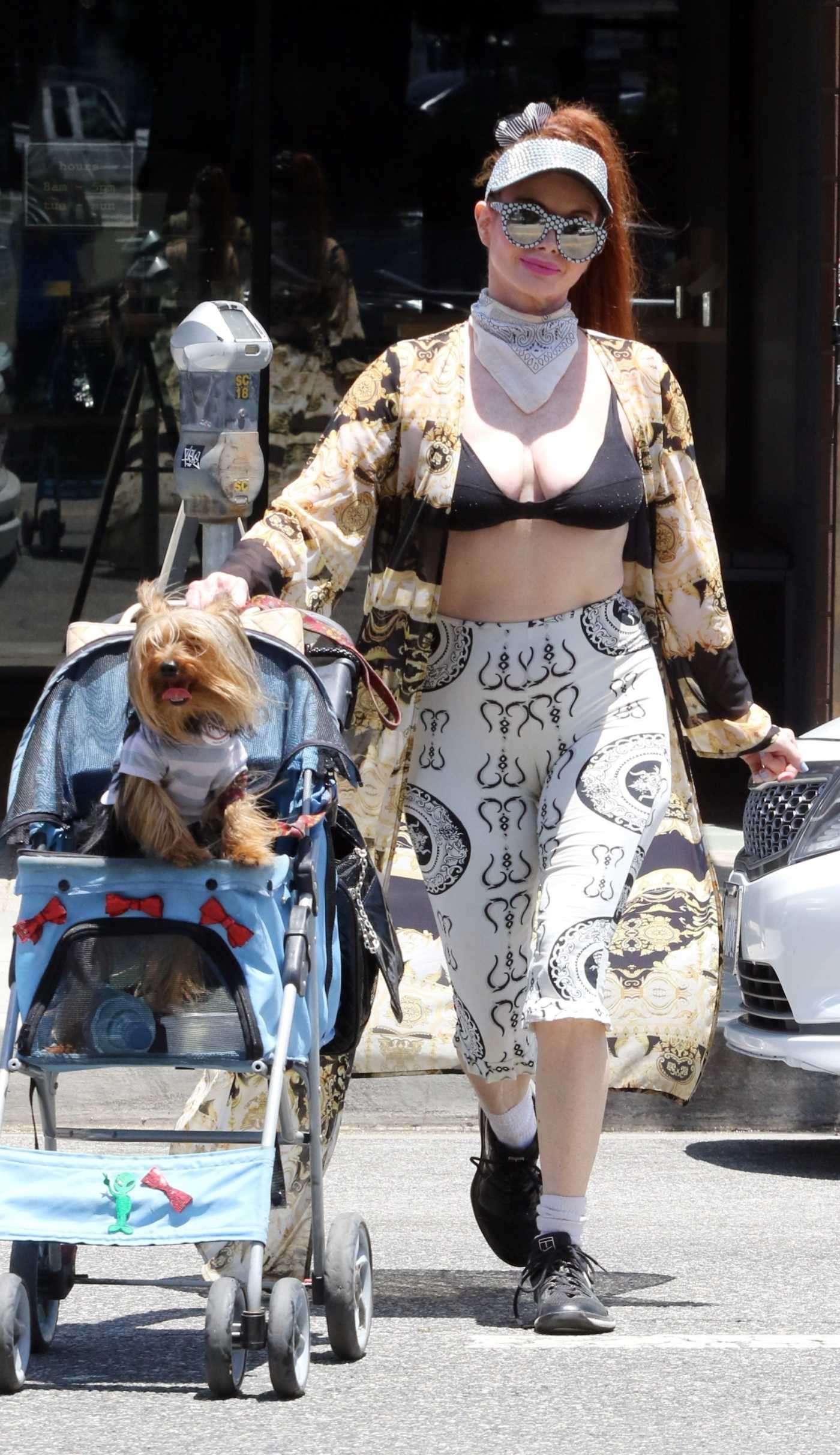 Phoebe Price in a Black Bra Takes Her Pooch for a Stroll in Los Angeles 06/28/2024